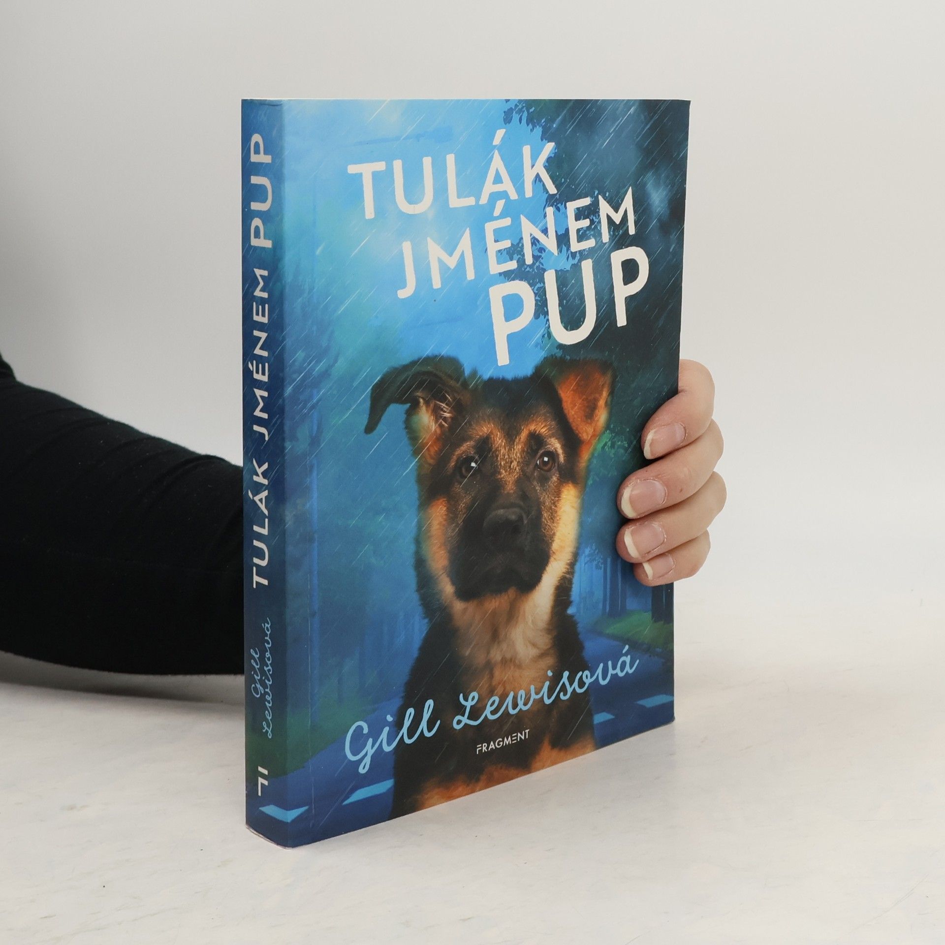 Gill Lewis Tulák jménem Pup