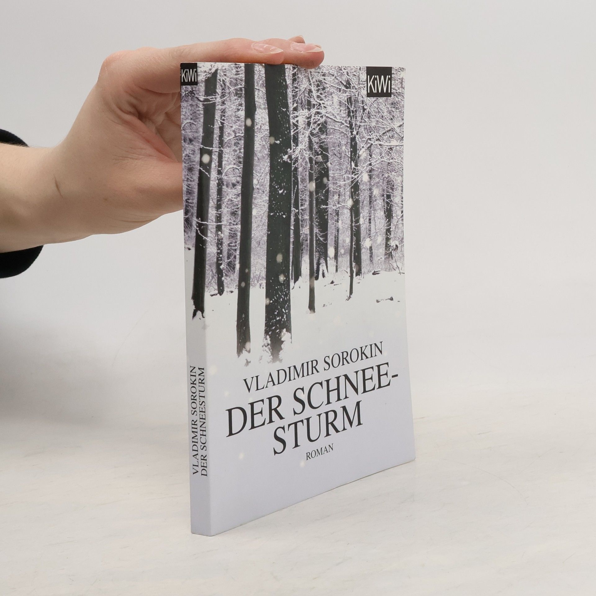 Vladimir Georgijevič Sorokin Der Schneesturm