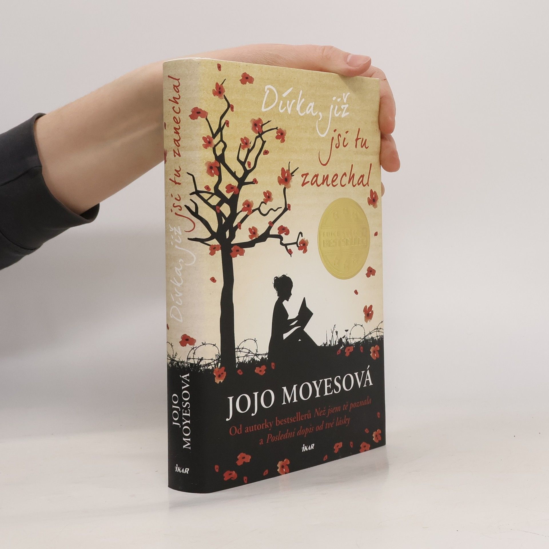 Dívka, již jsi tu zanechal