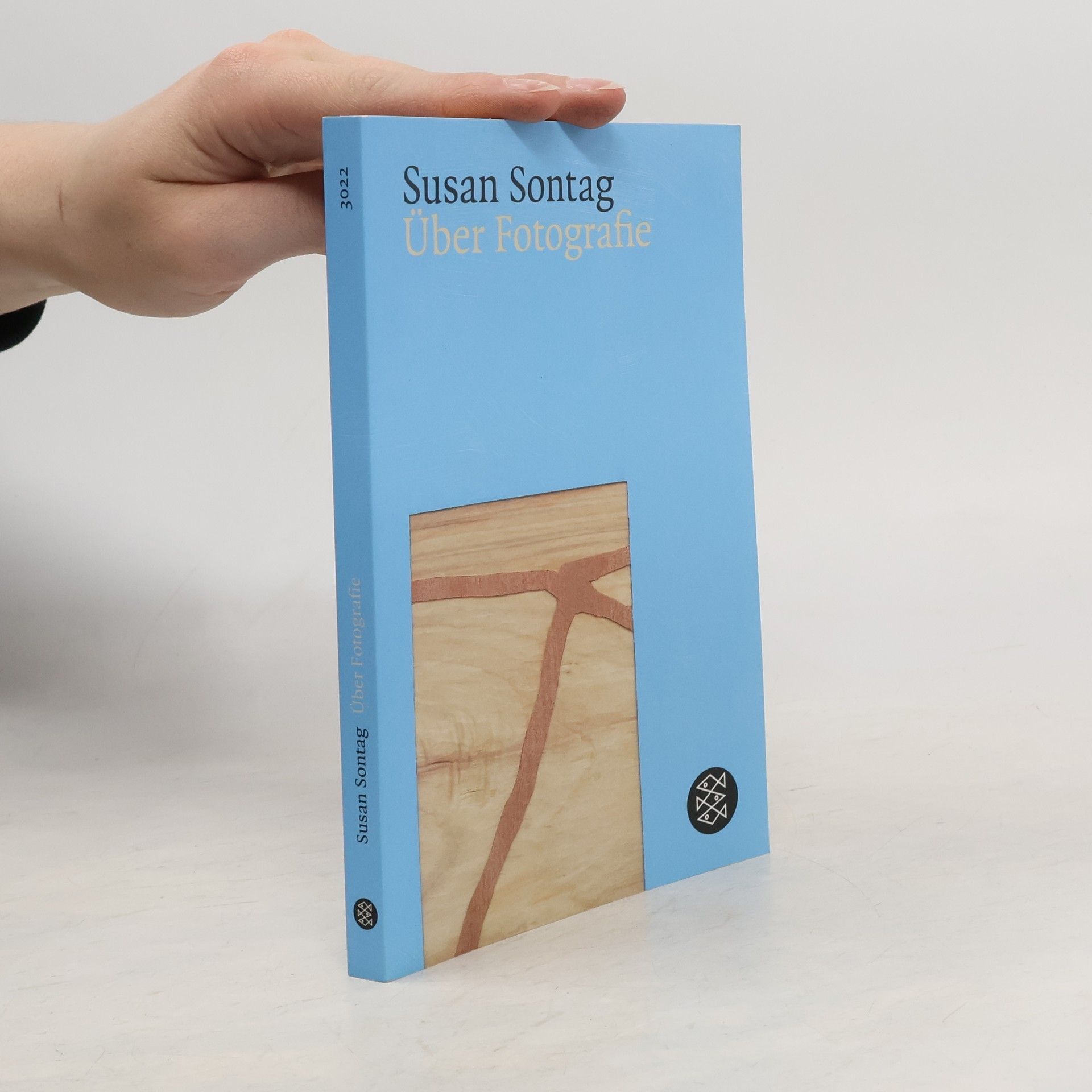 Susan Sontag Über Fotografie