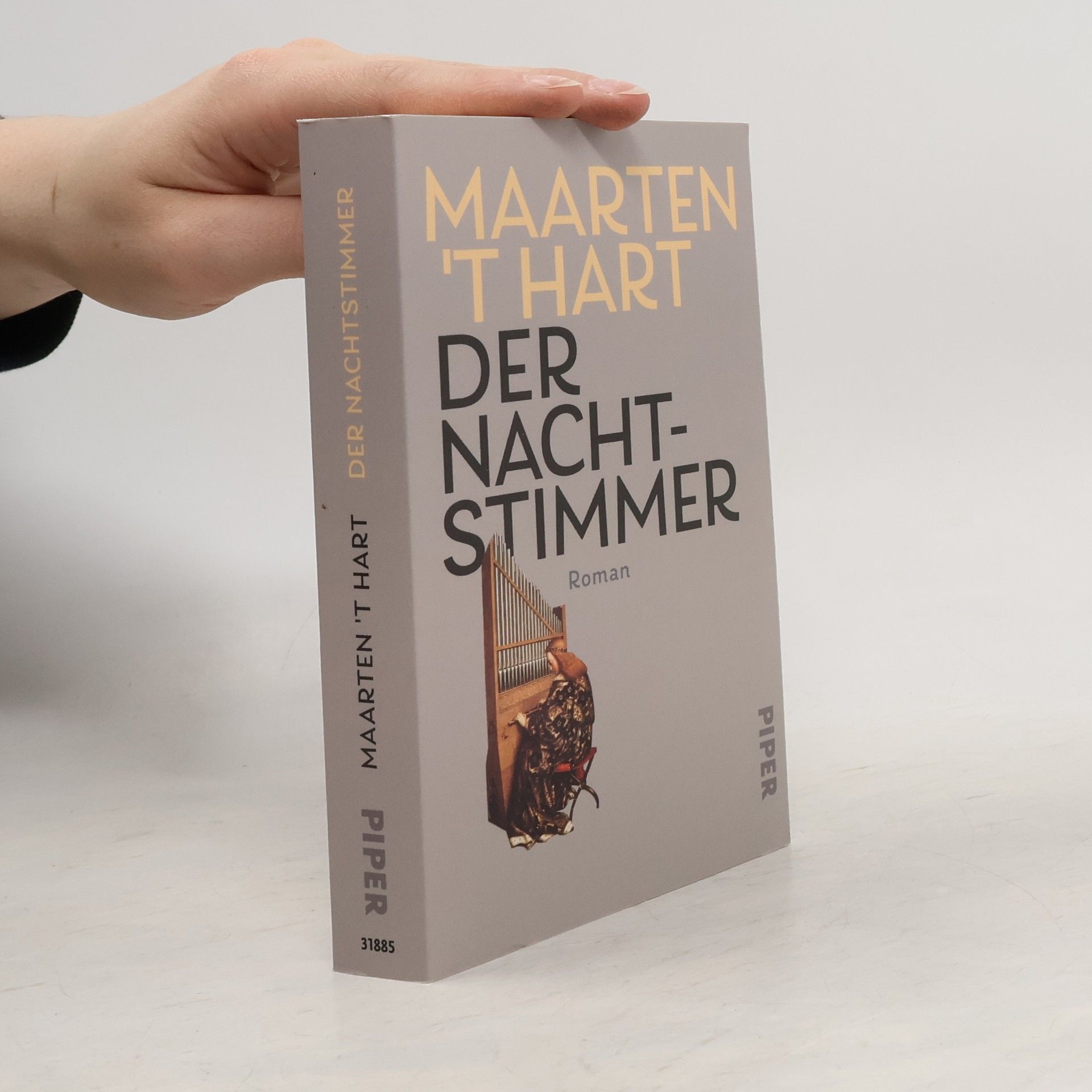 Maarten t. Hart Der Nachtstimmer