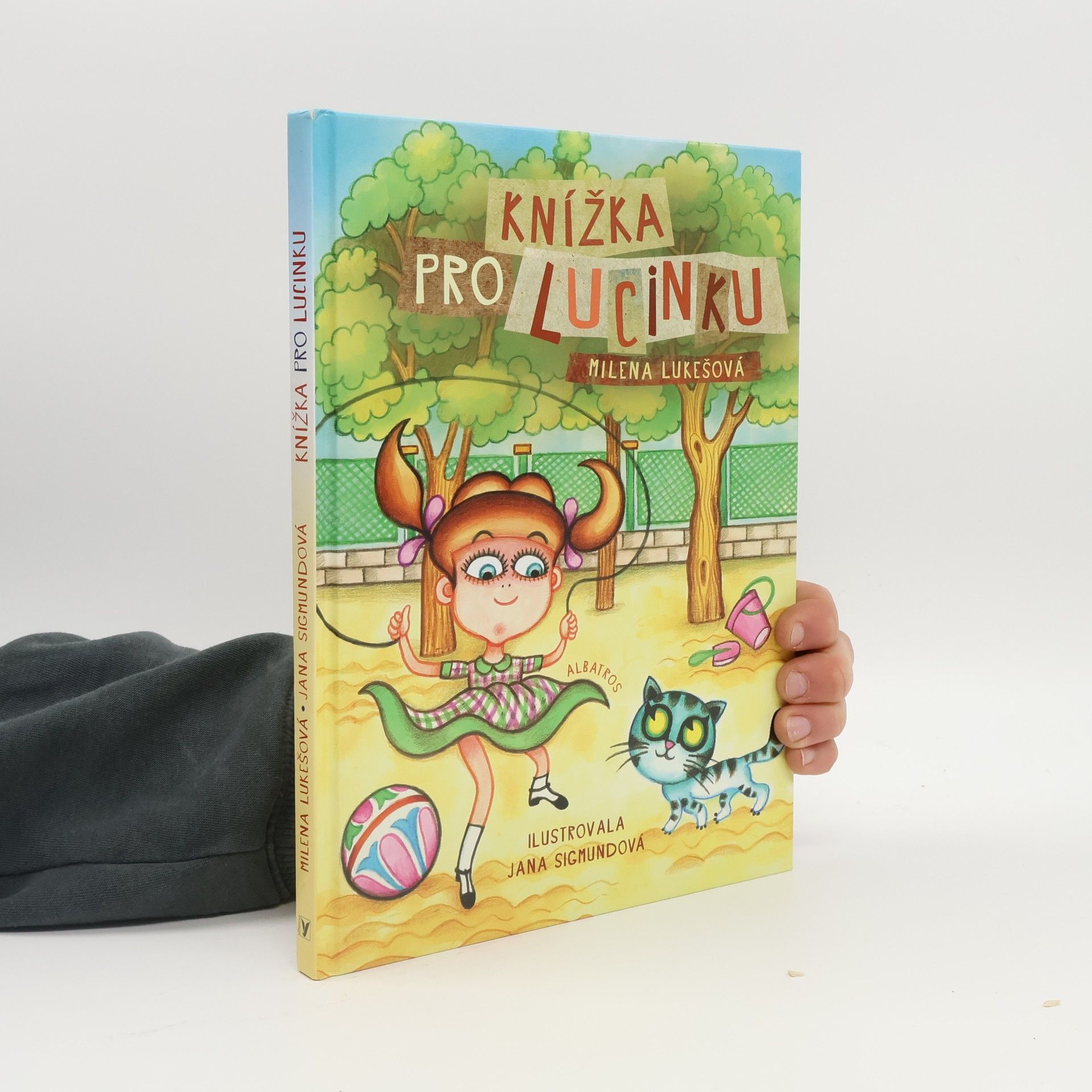 Milena Lukešová Knížka pro Lucinku