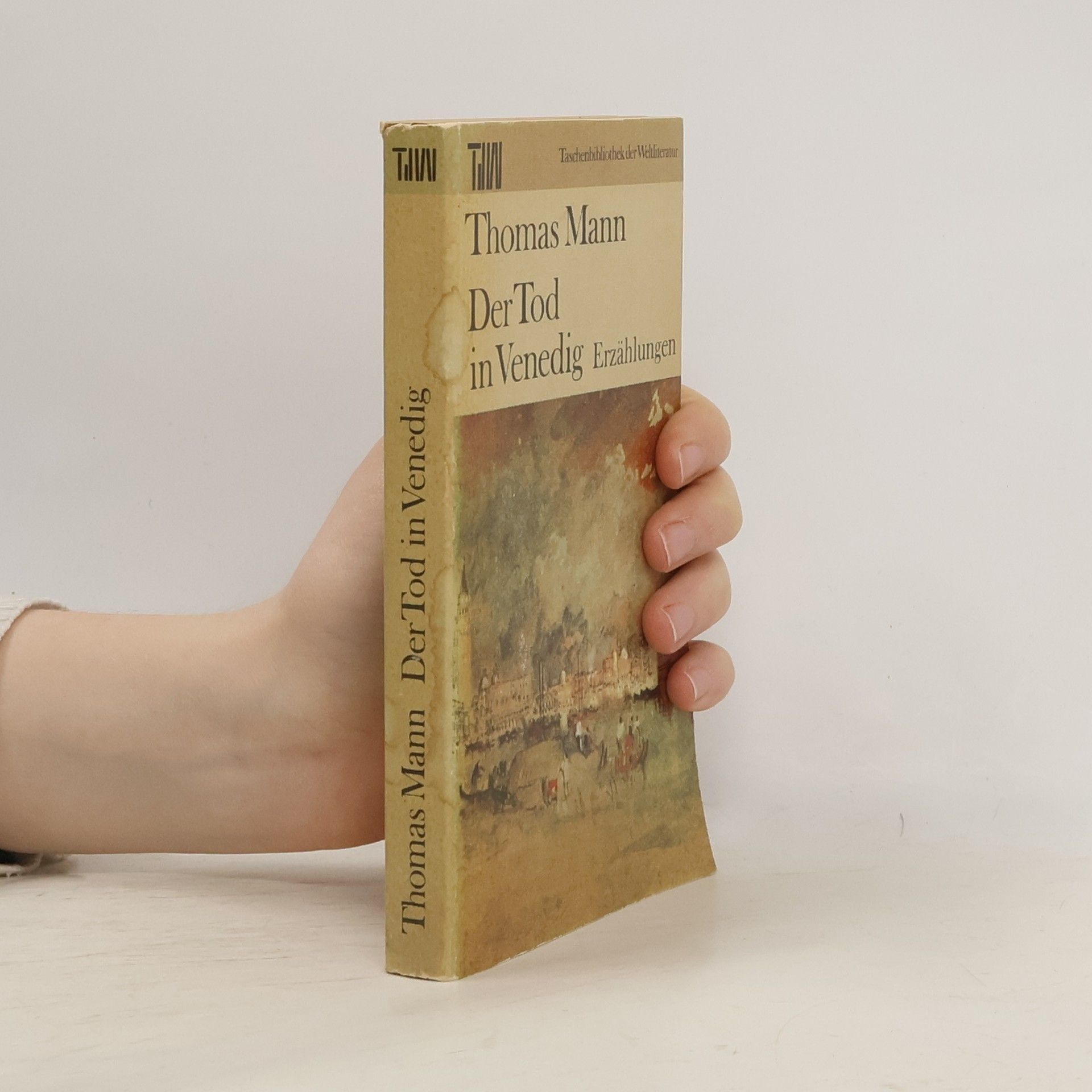 Thomas Mann Der Tod in Venedig