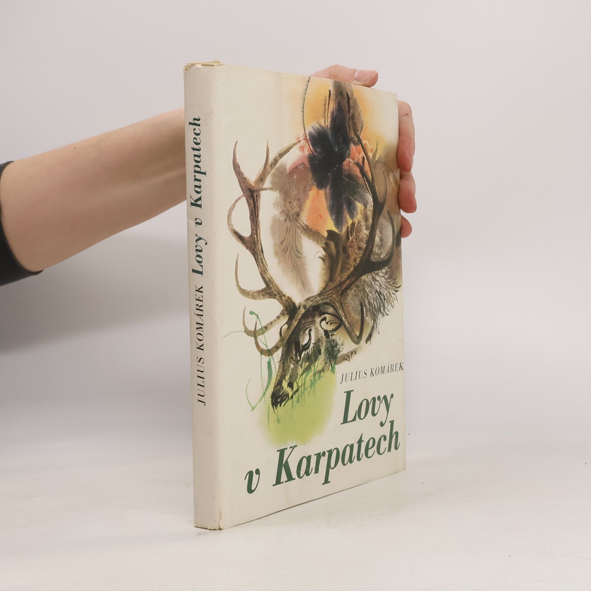 Lovy v Karpatech