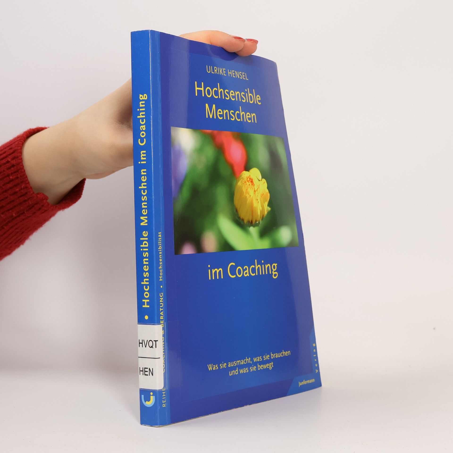 Ulrike Hensel Hochsensible Menschen im Coaching