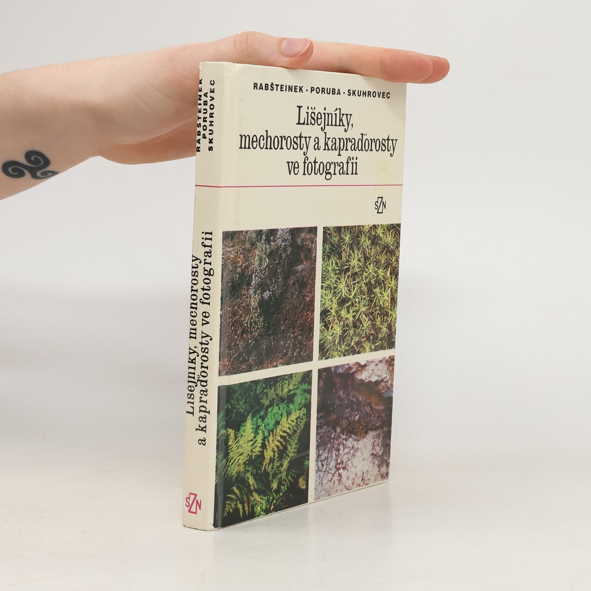 Otomar Rabšteinek Lišejníky, mechorosty a kapraďorosty ve fotografii