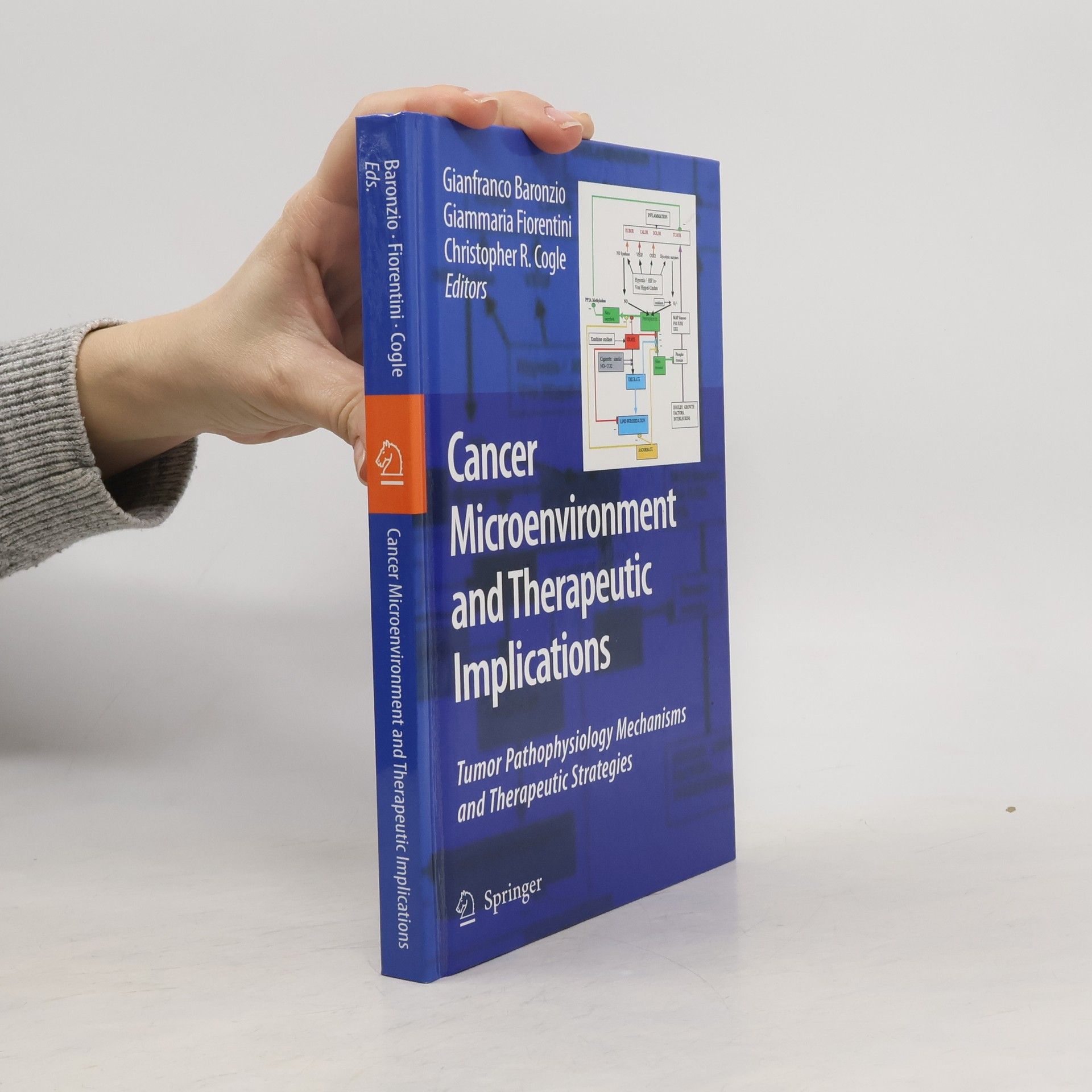 Gianfranco Baronzio Cancer Microenvironment and Therapeutic Implications