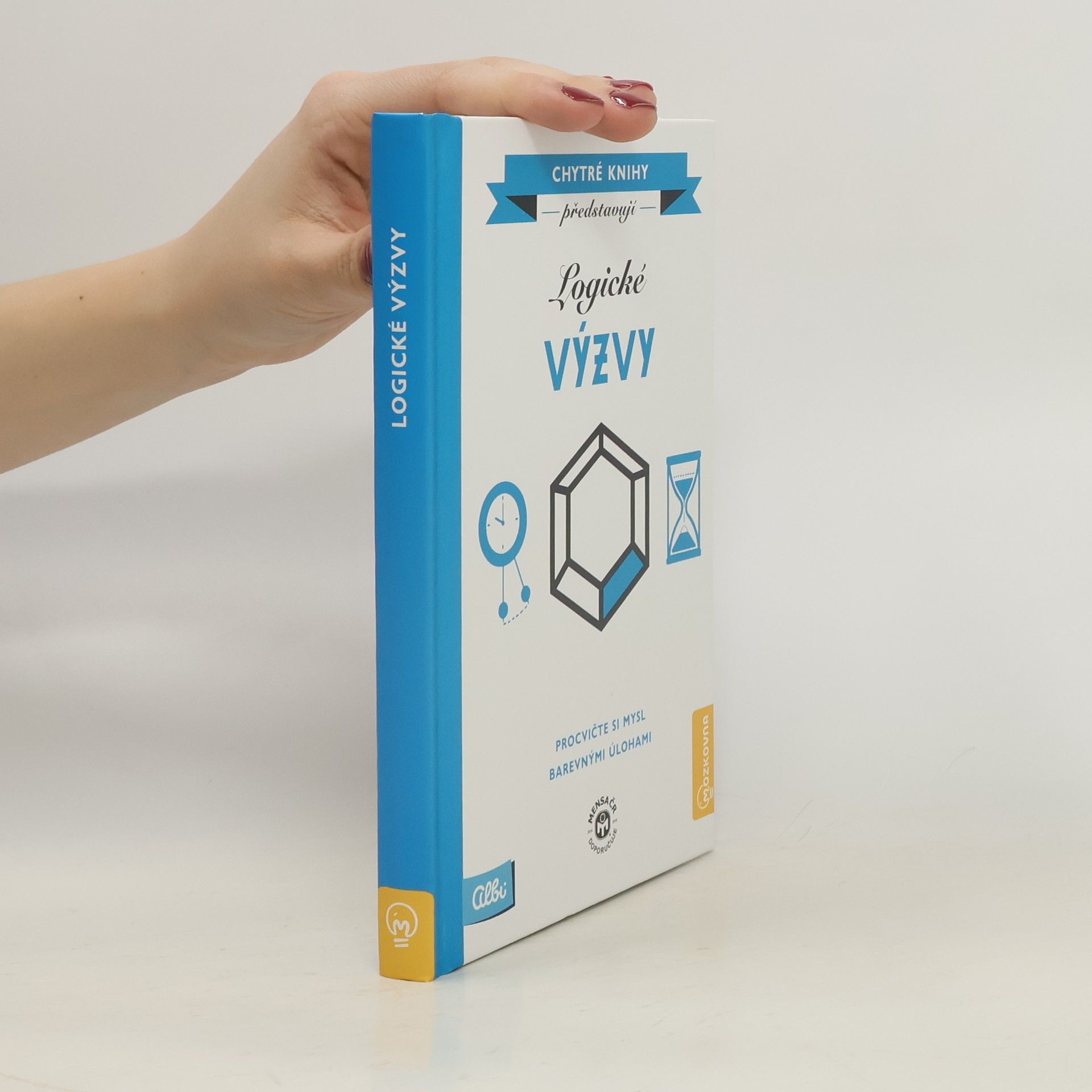 Kolektiv autorů Logické výzvy