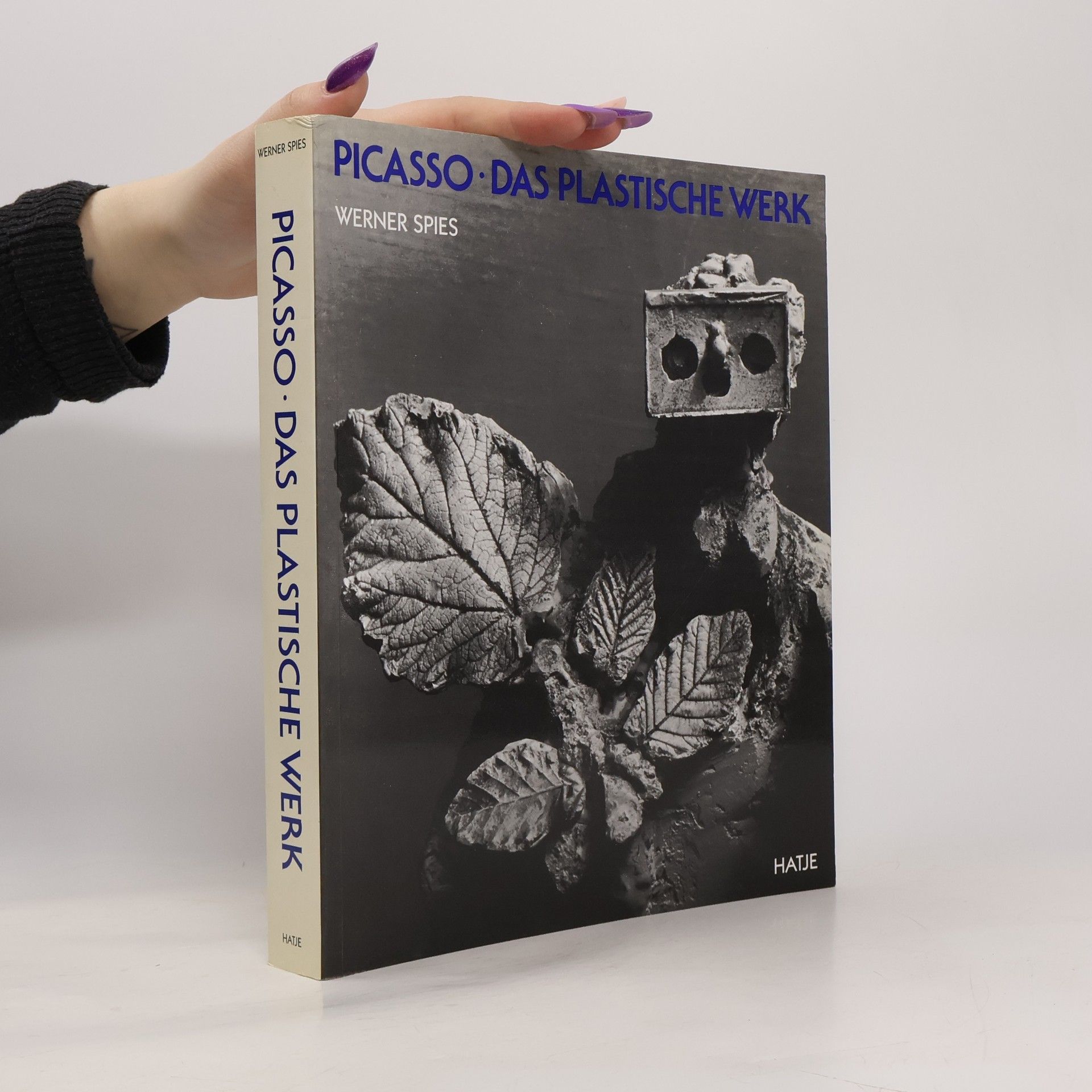 Werner Spies Picasso - das plastische Werk