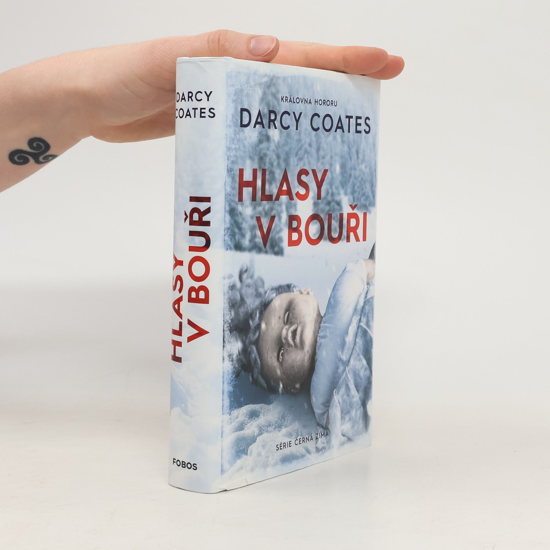 Darcy Coates Hlasy v bouři