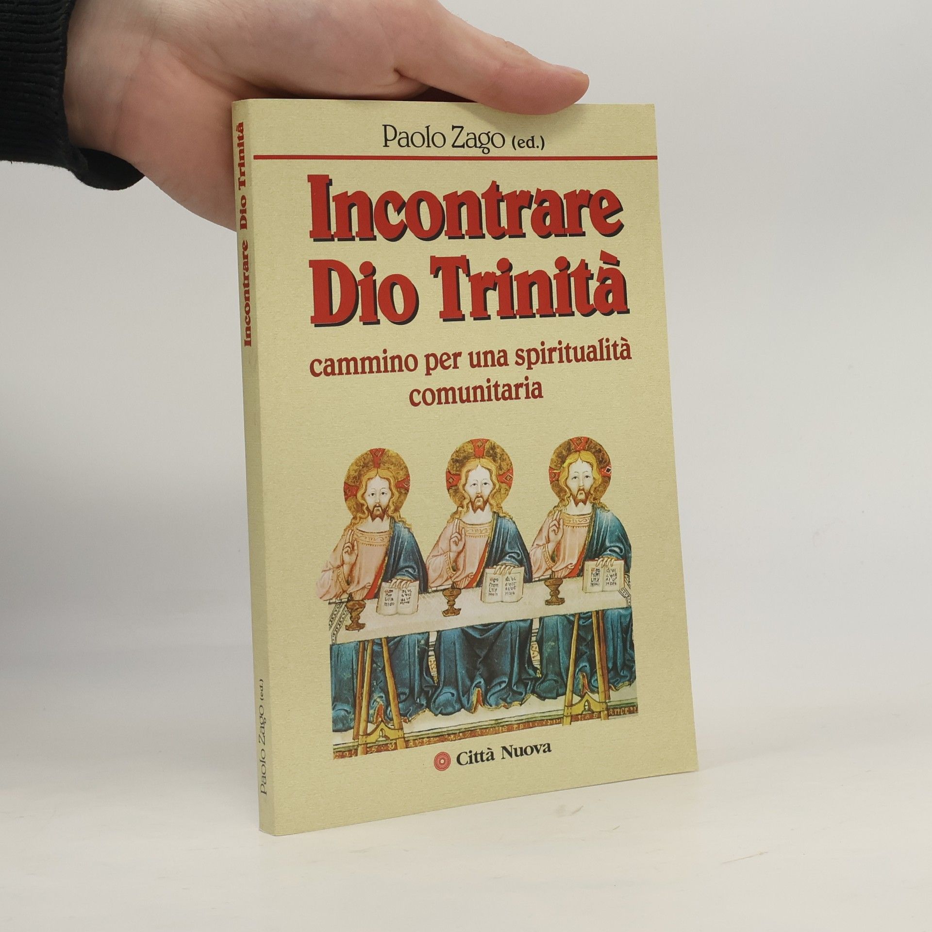 Paolo Zago Incontrare Dio Trinità. Cammino per una spiritualità comunitaria