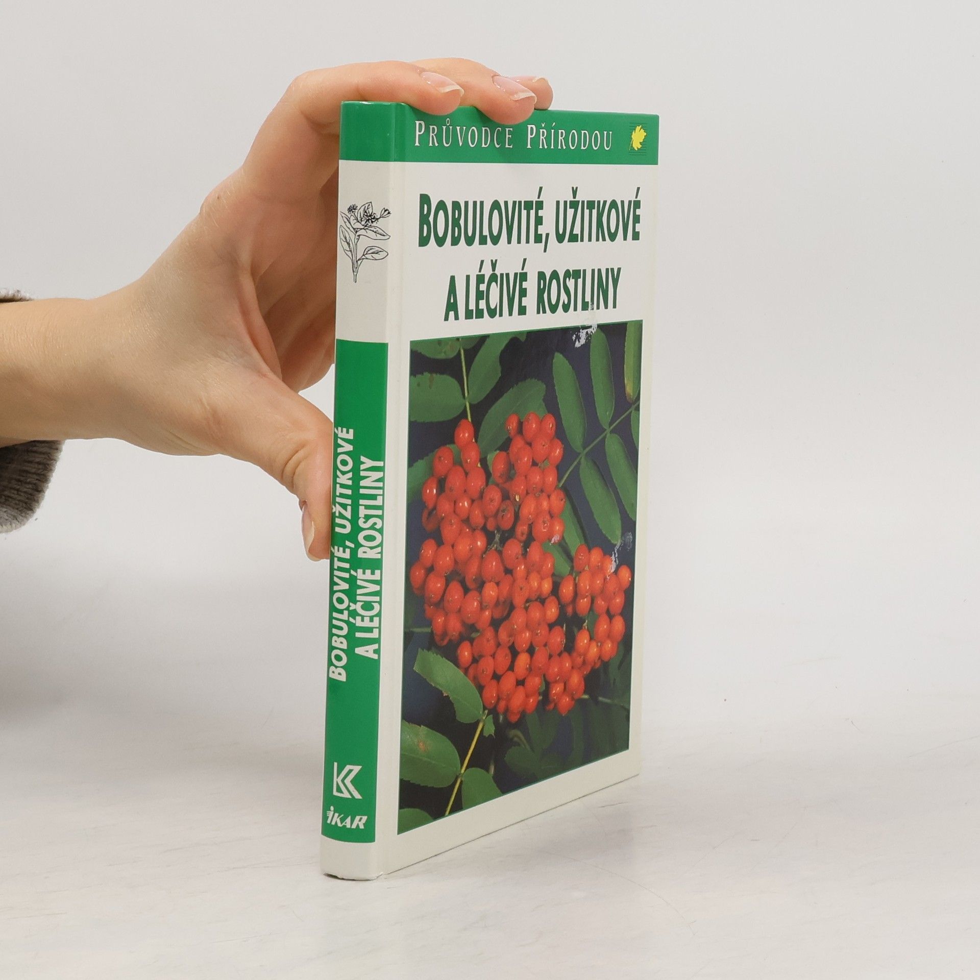 Jürke Grau Bobulovité, užitkové a léčivé rostliny