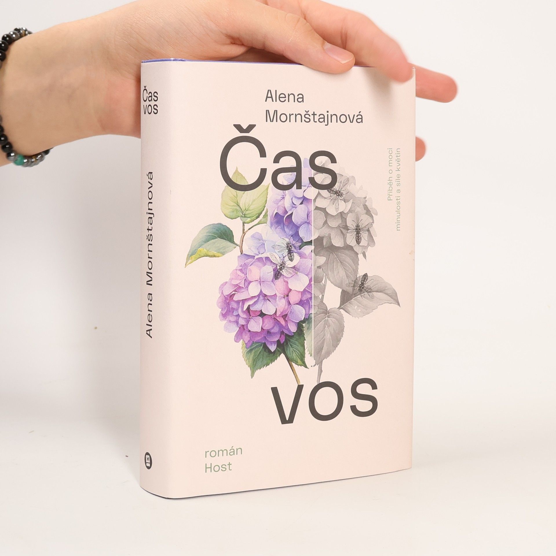 Alena Mornštajnová Čas vos