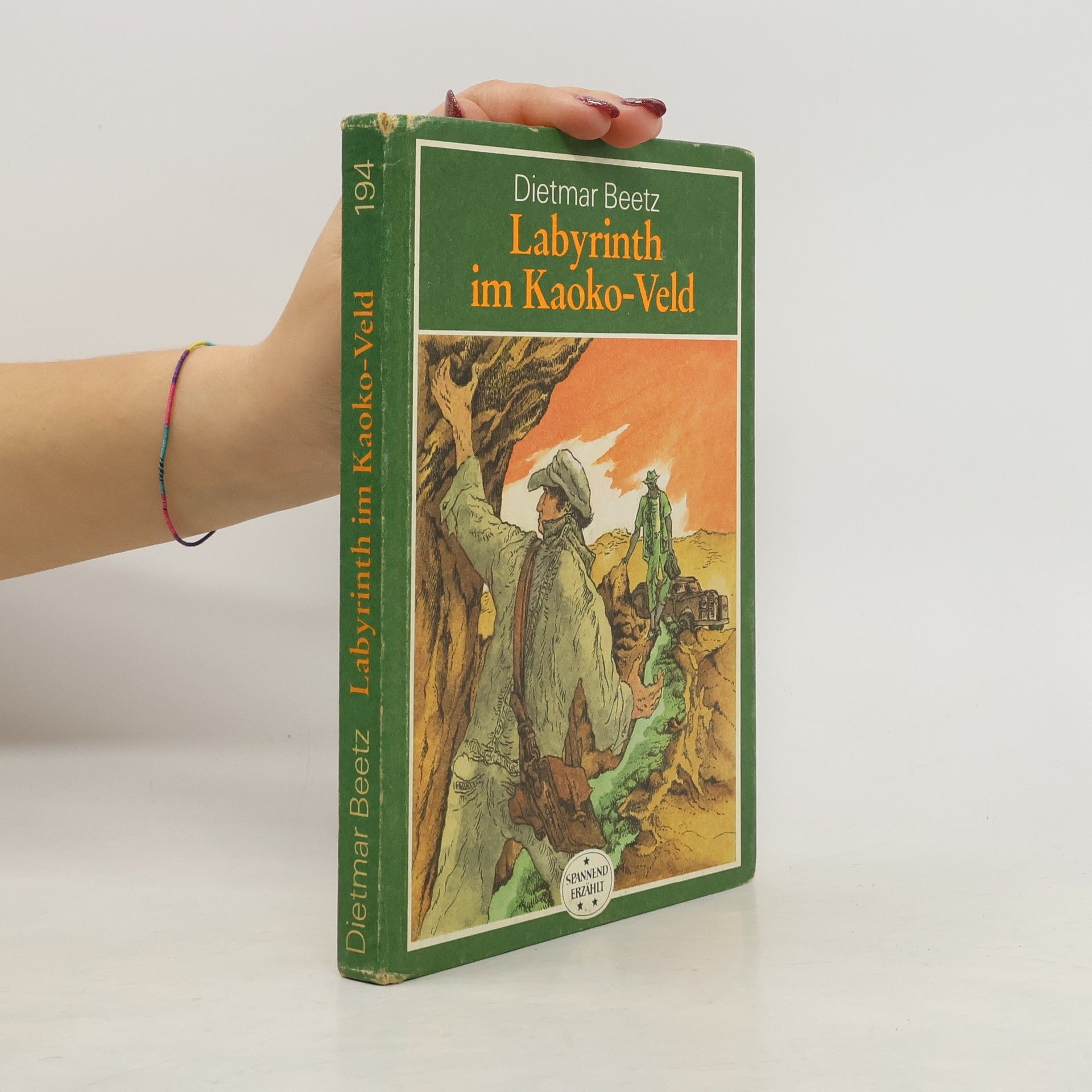 Dietmar Beetz Labyrinth im Kaoko-Veld