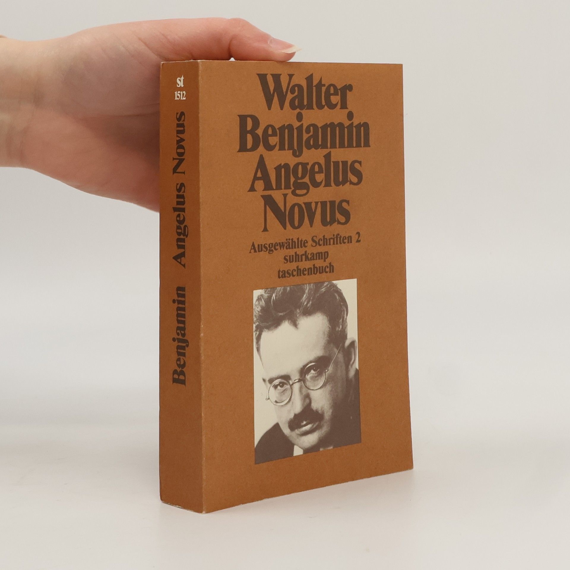 Walter Benjamin Angelus Novus
