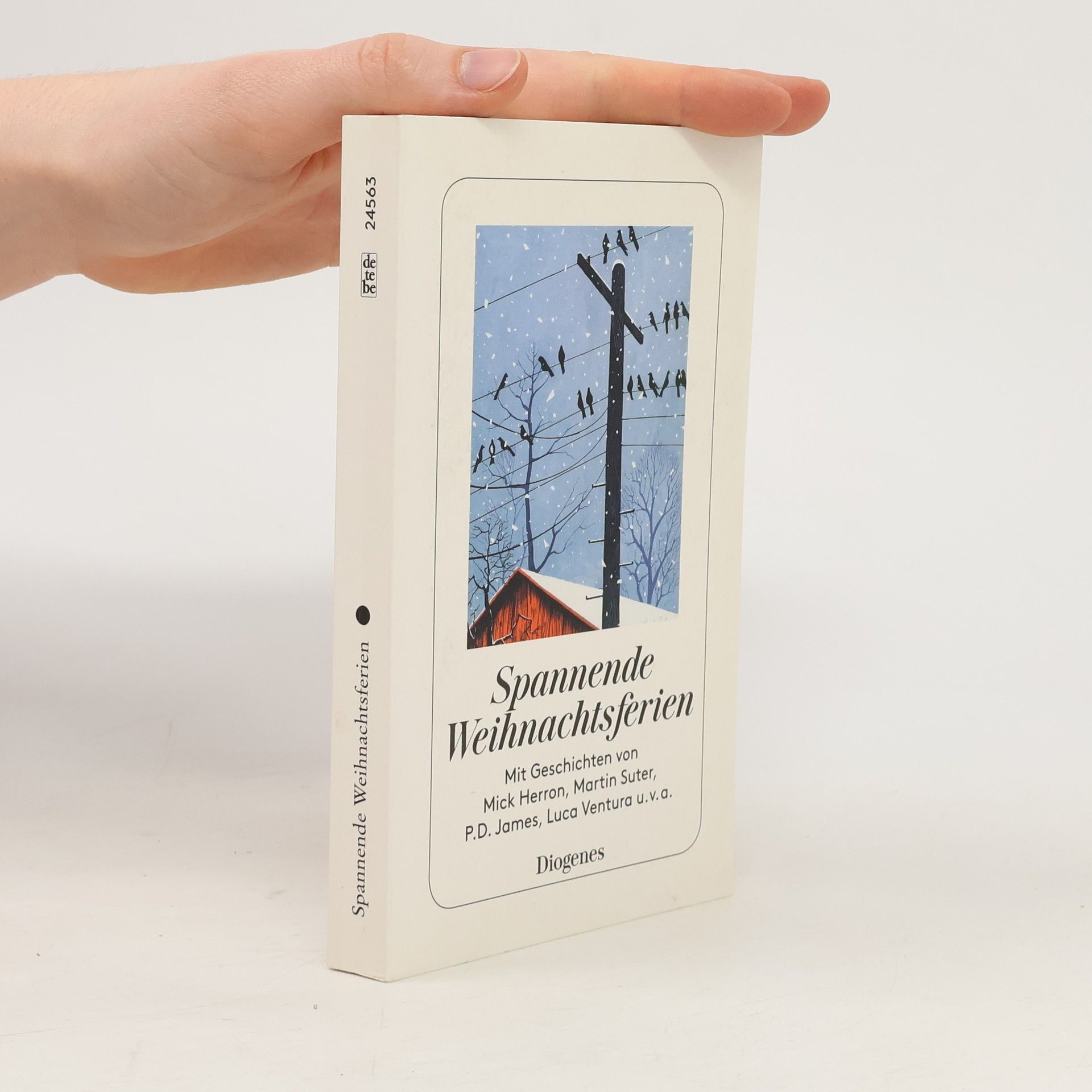 Shelagh Armit Spannende Weihnachtsferien