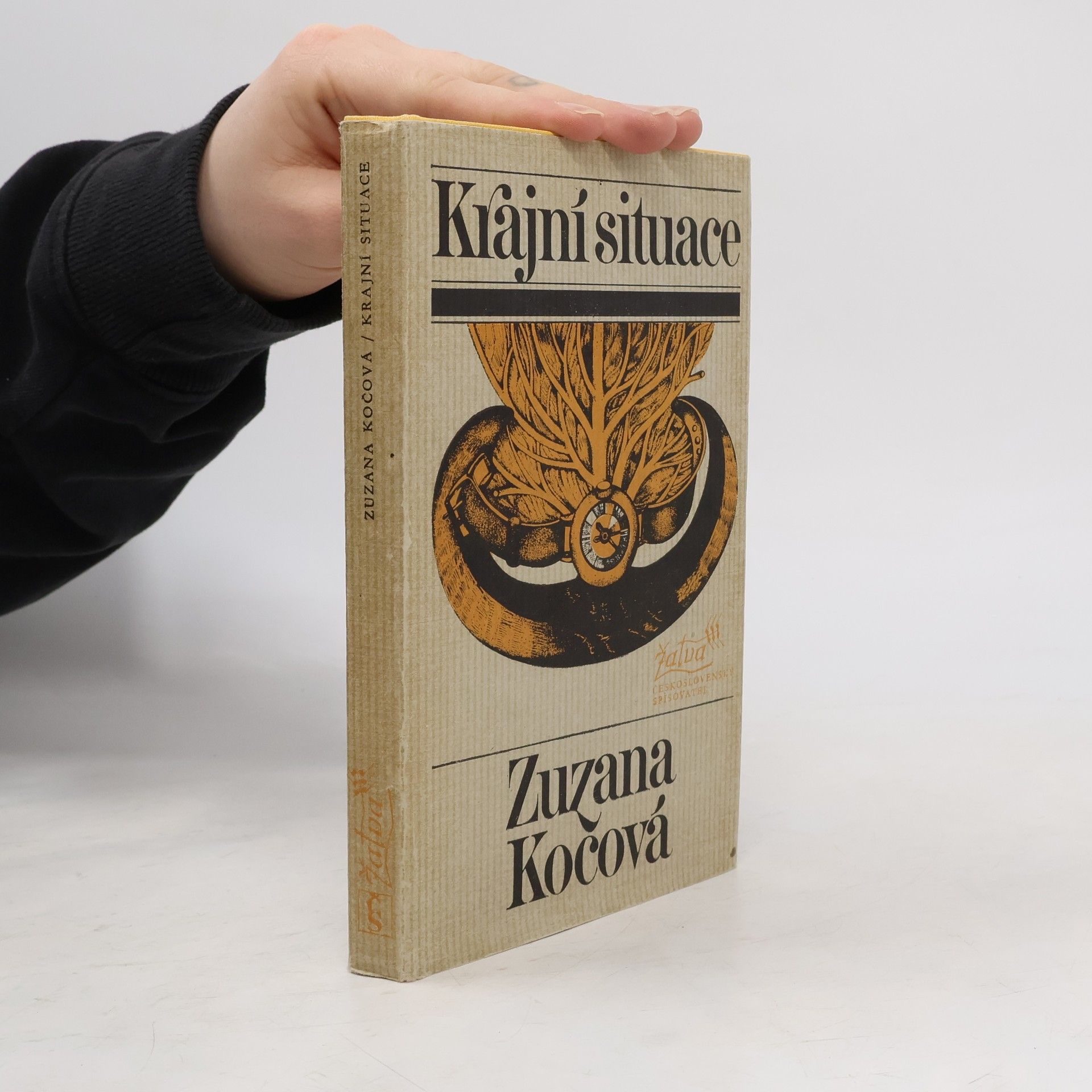 Zuzana Kočová Krajní situace