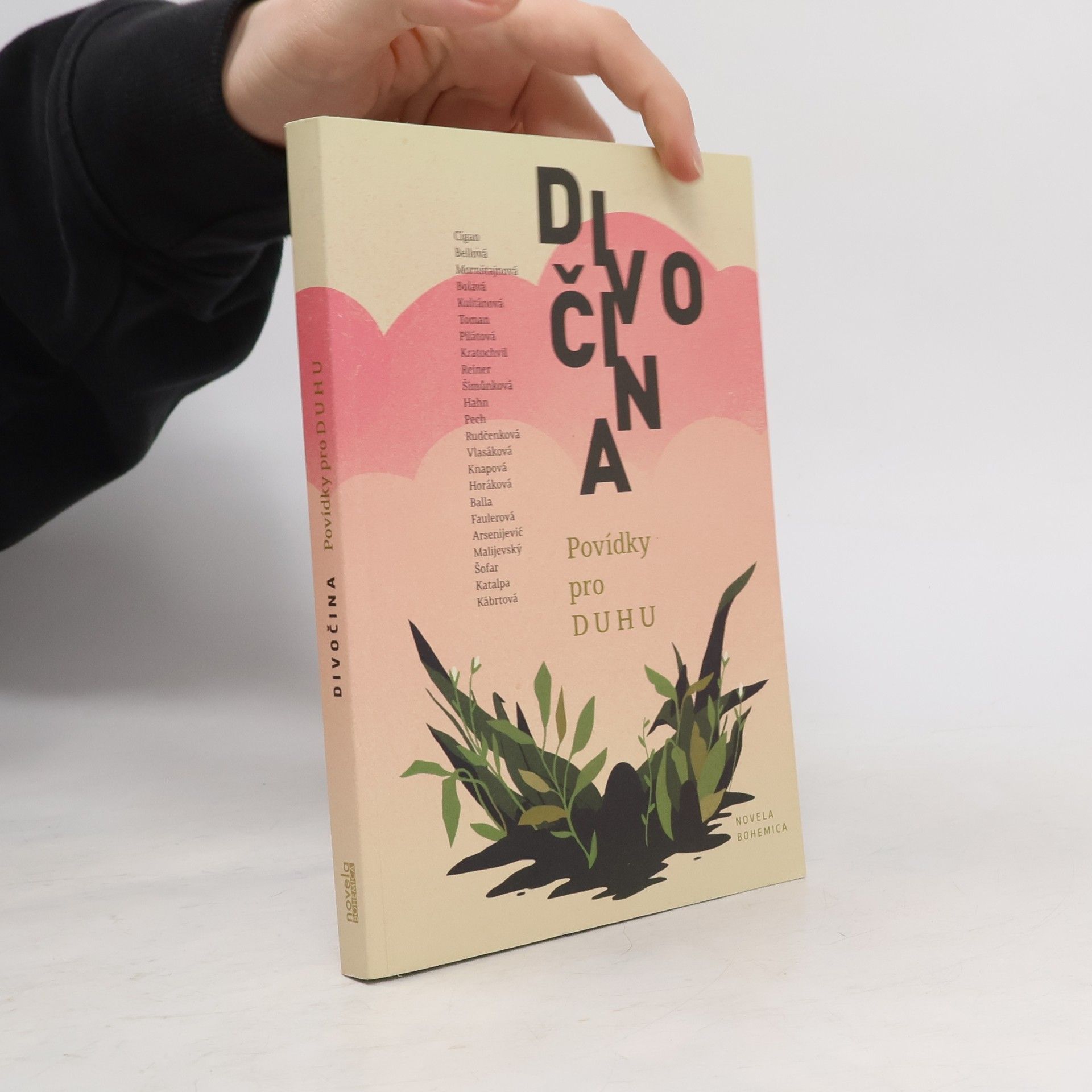 * antologie Divočina - Povídky pro Duhu