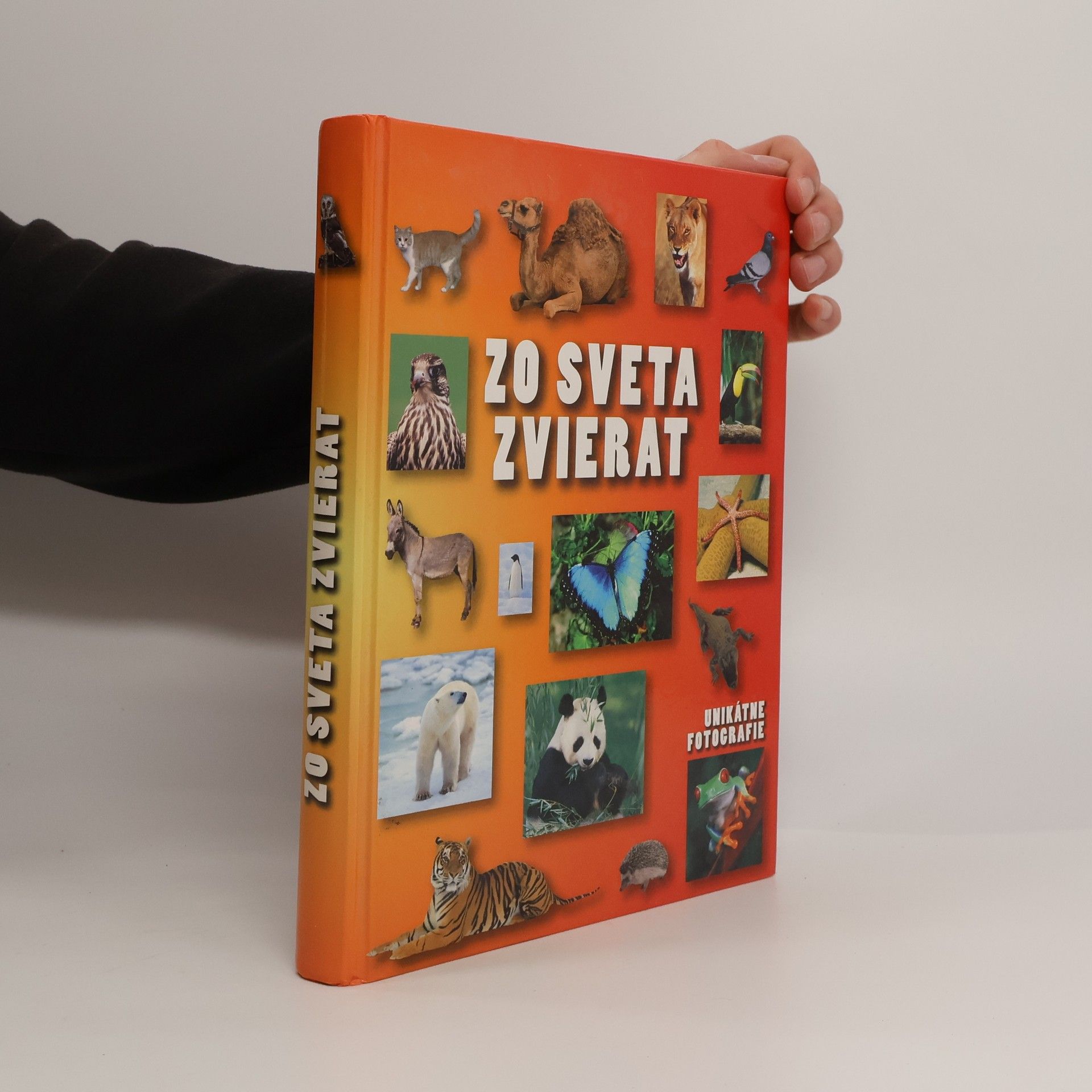 Autorenkollektiv Zo sveta zvierat