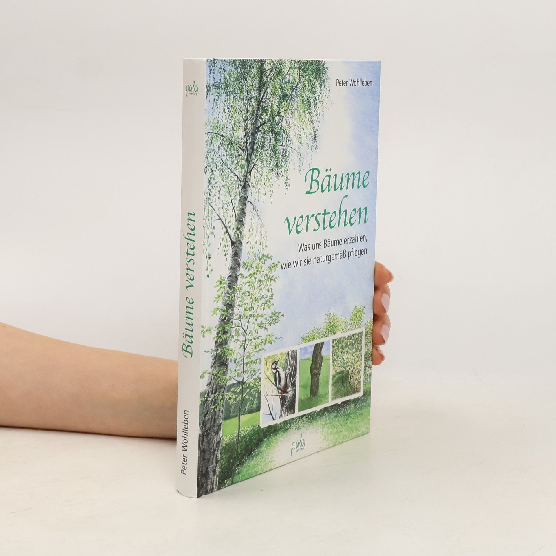 Peter Wohlleben Bäume verstehen