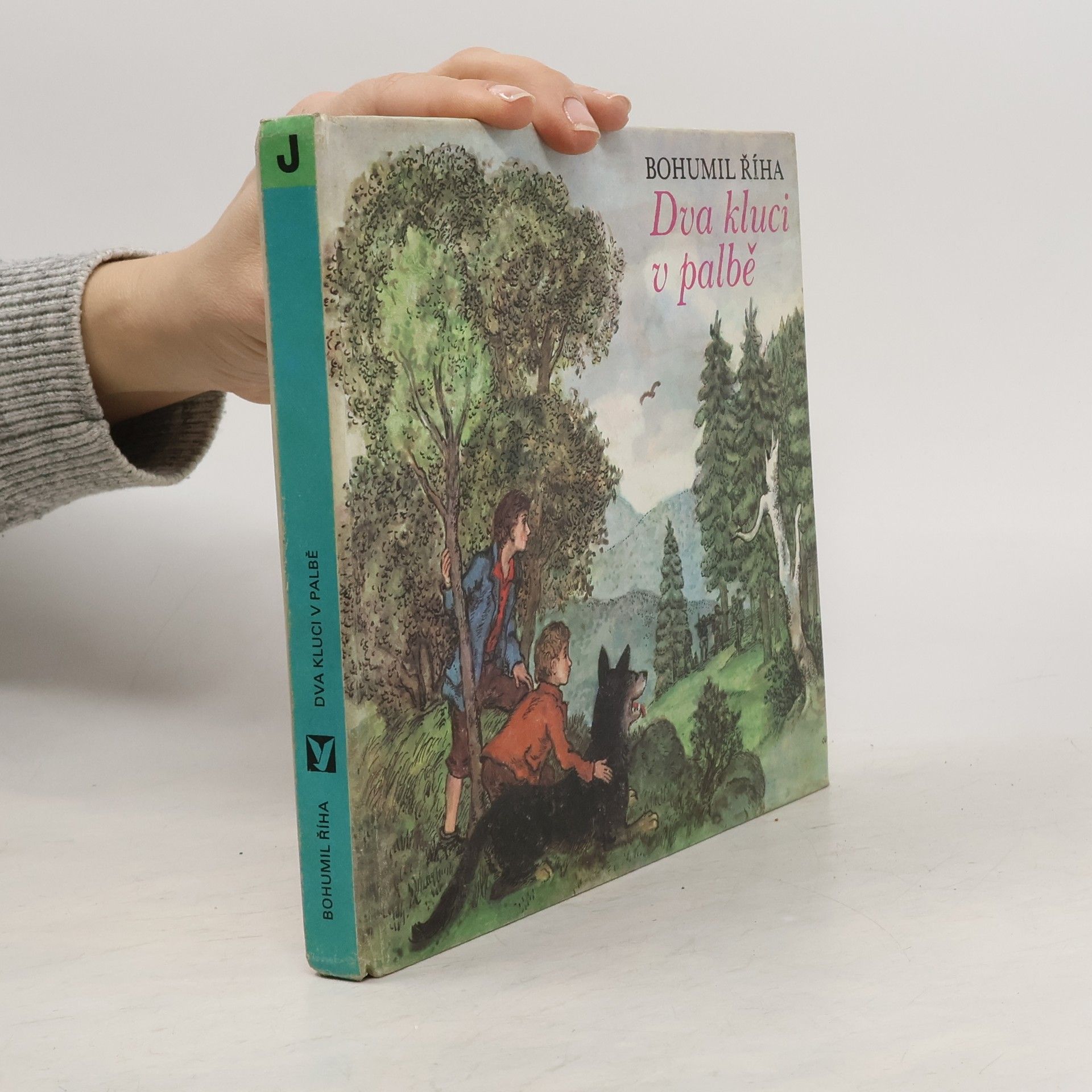 Bohumil Říha Dva kluci v palbě