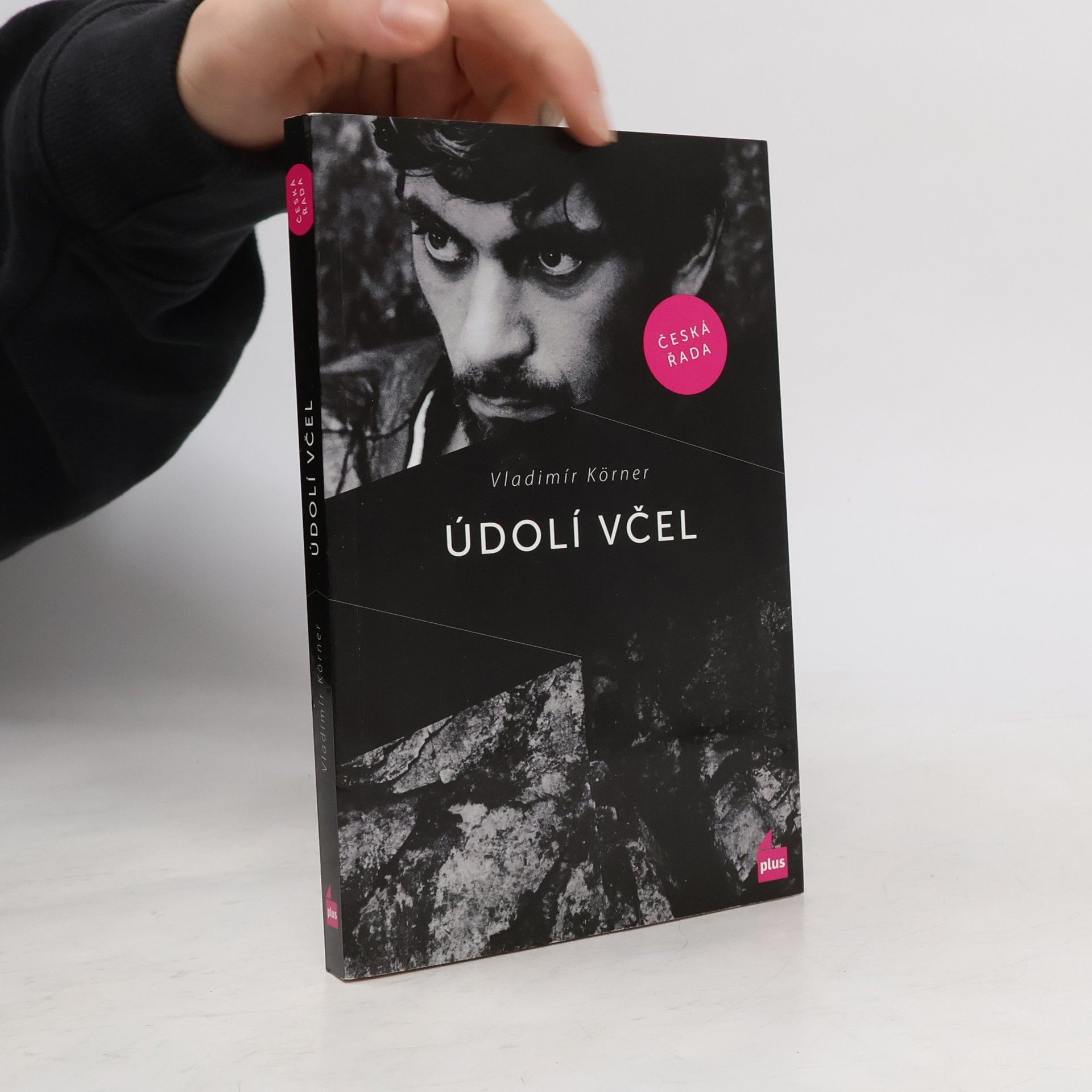 Vladimír Körner Údolí včel