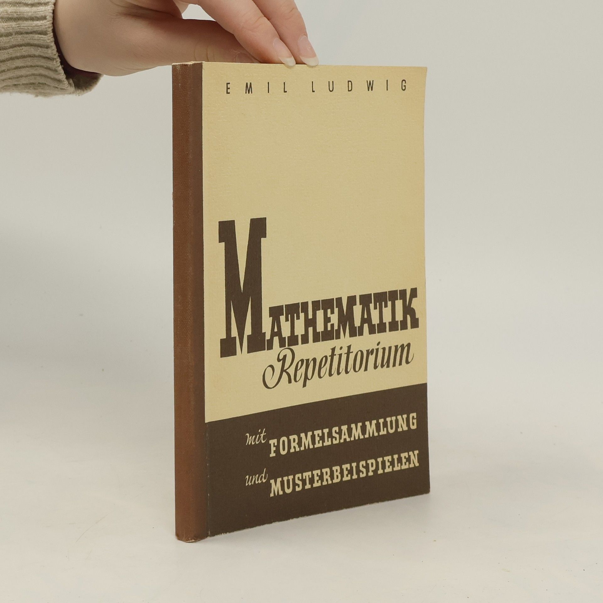 Emil Ludwig Mathematik Repetitorium