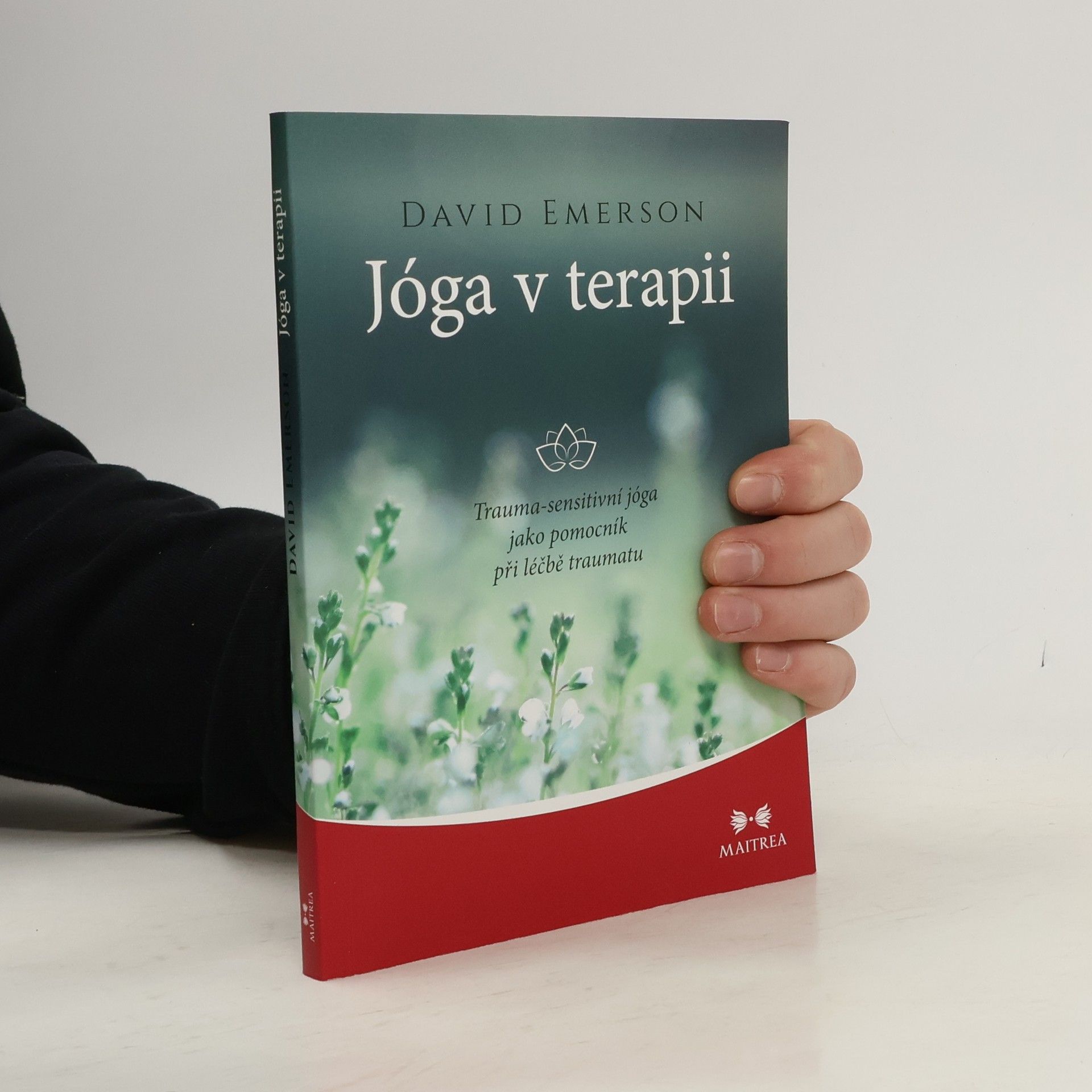 David Emerson Jóga v terapii