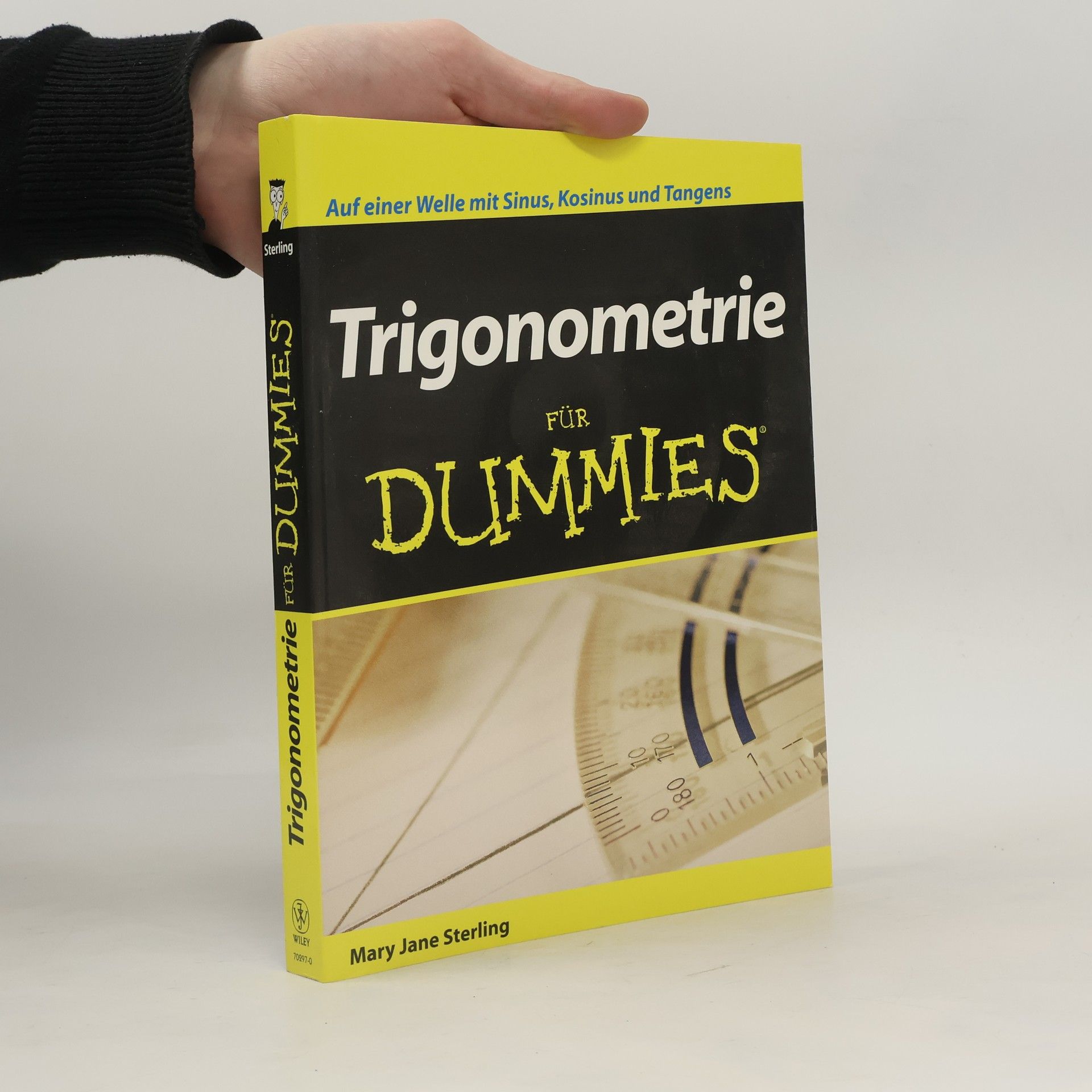Mary Jane Sterling Trigonometrie für Dummies
