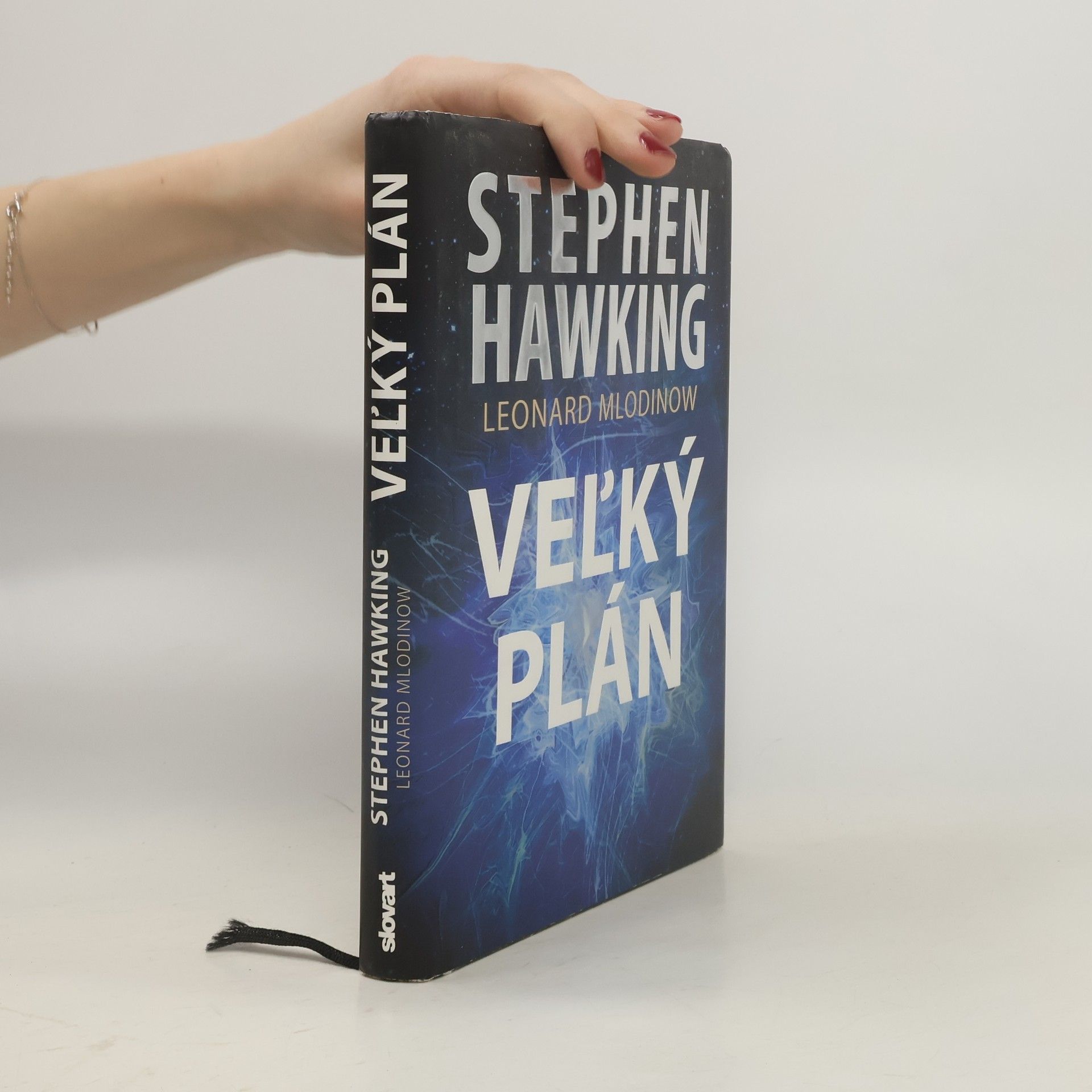 Stephen Hawking Veľký plán