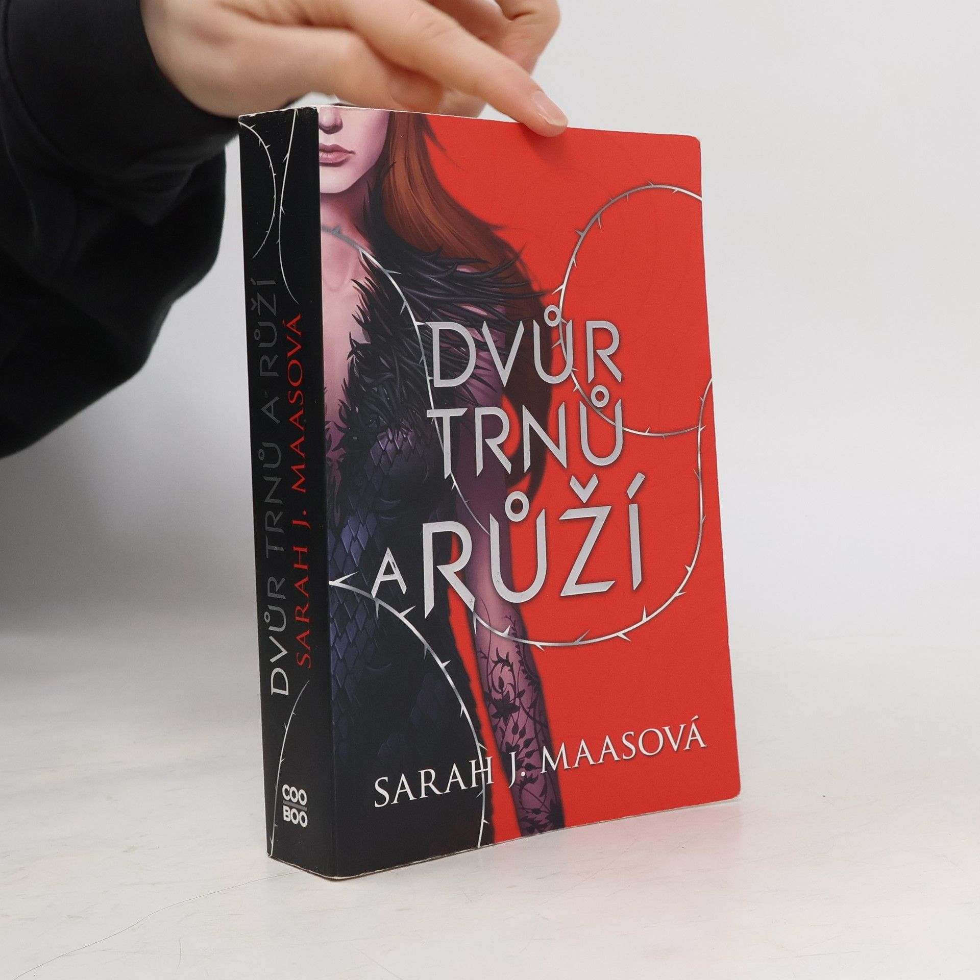Sarah J. Maas Dvůr trnů a růží