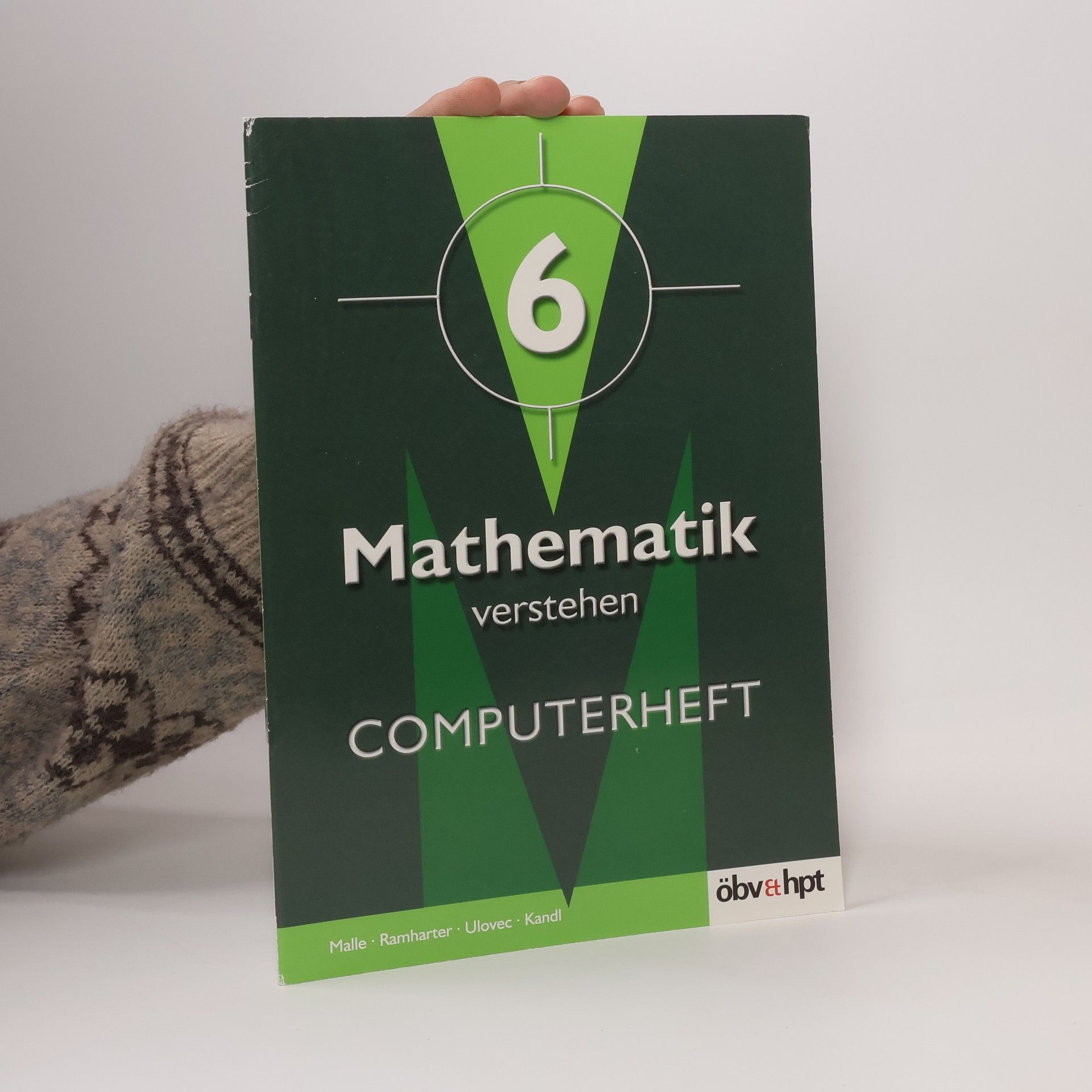 Mathematik verstehen