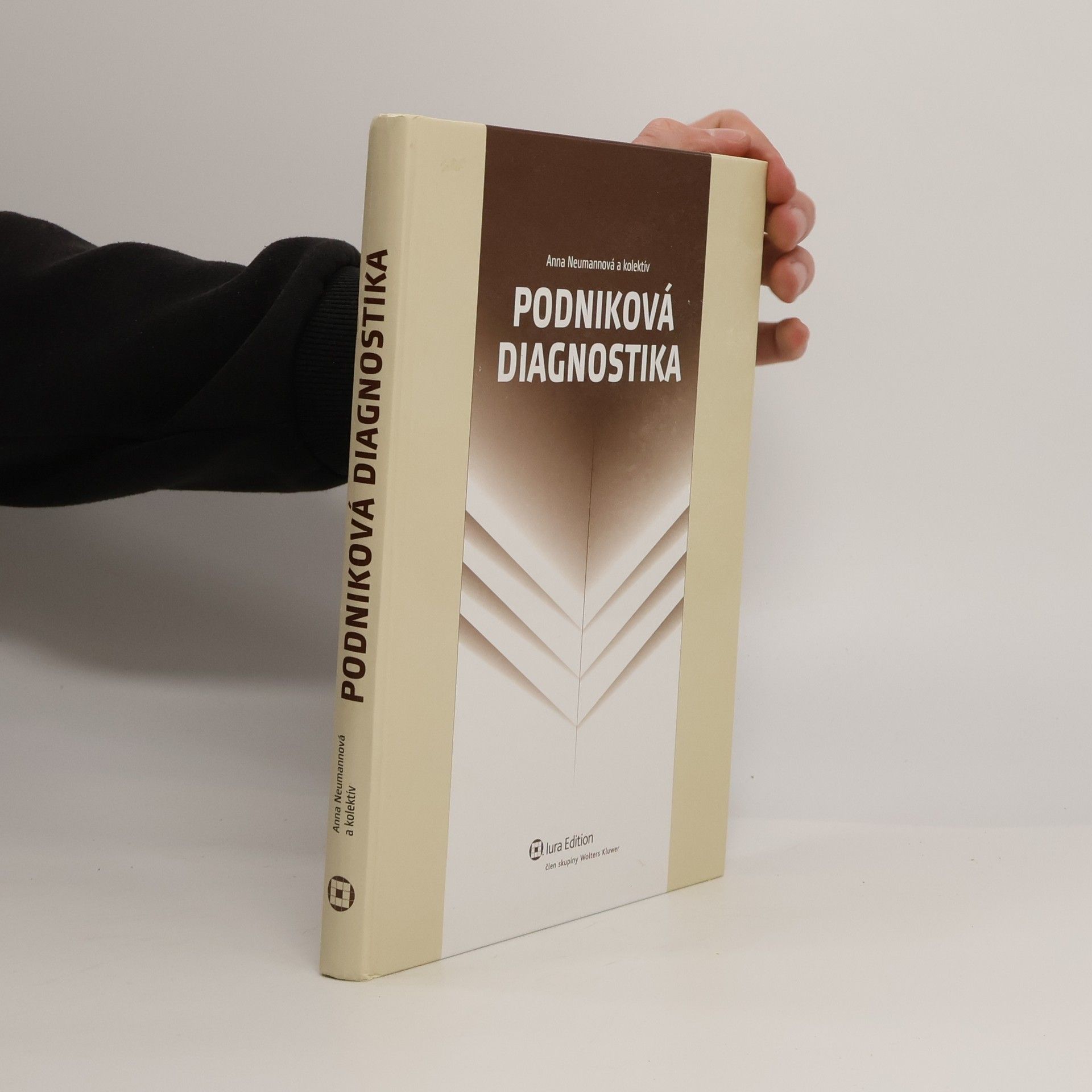 Neumannová Anna Podniková diagnostika