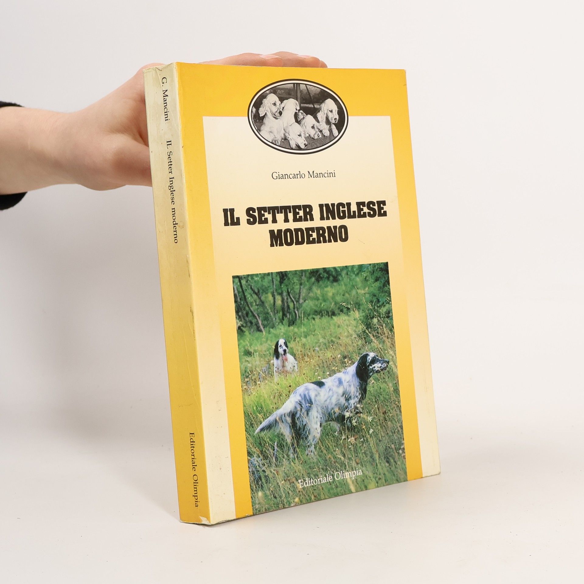 Giancarlo Mancini Il setter inglese moderno