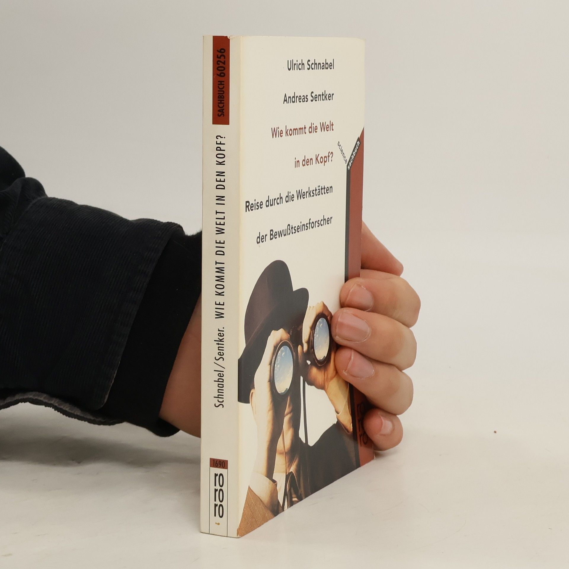 Wie kommt die Welt in den Kopf