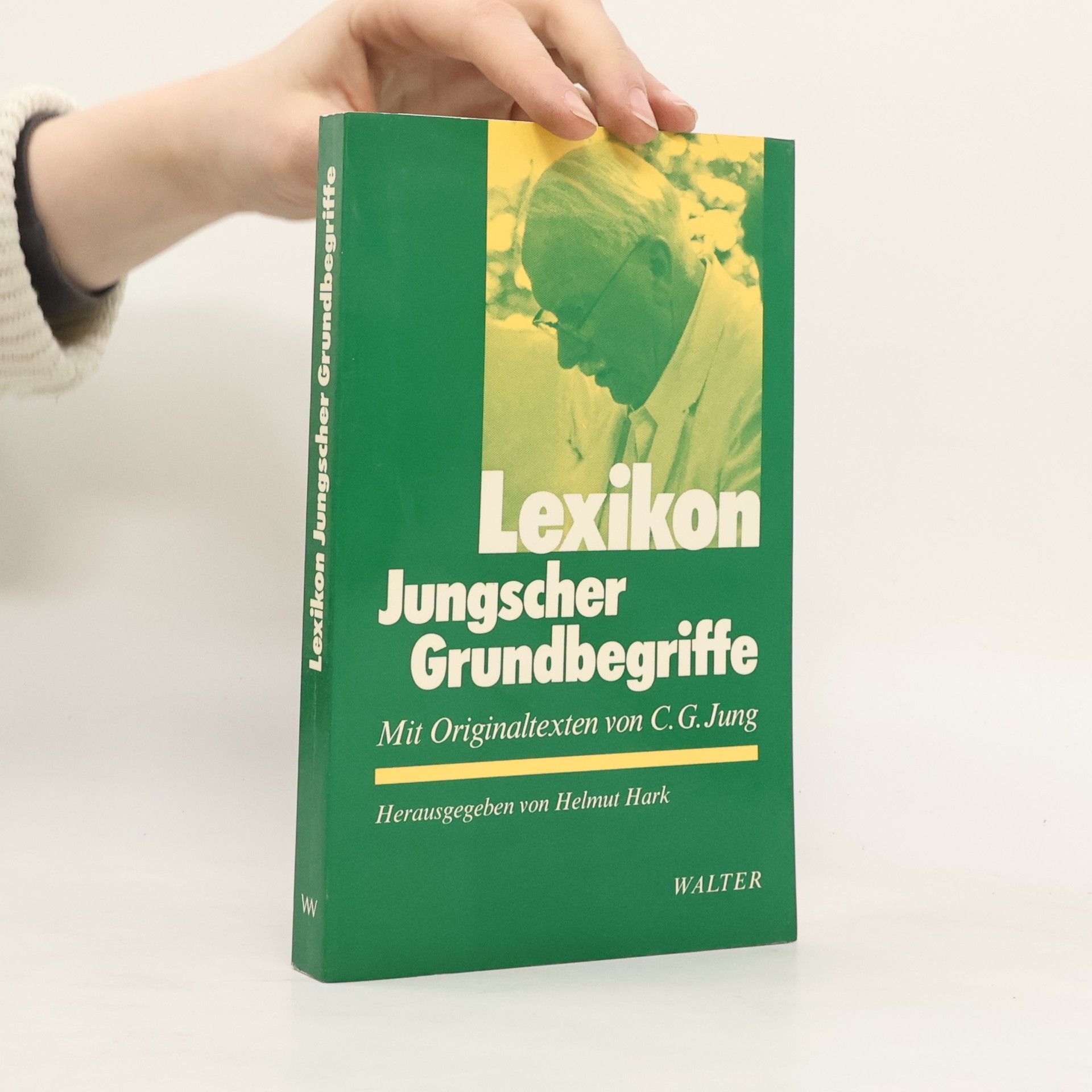 Carl Jung Lexikon Jungscher Grundbegriffe