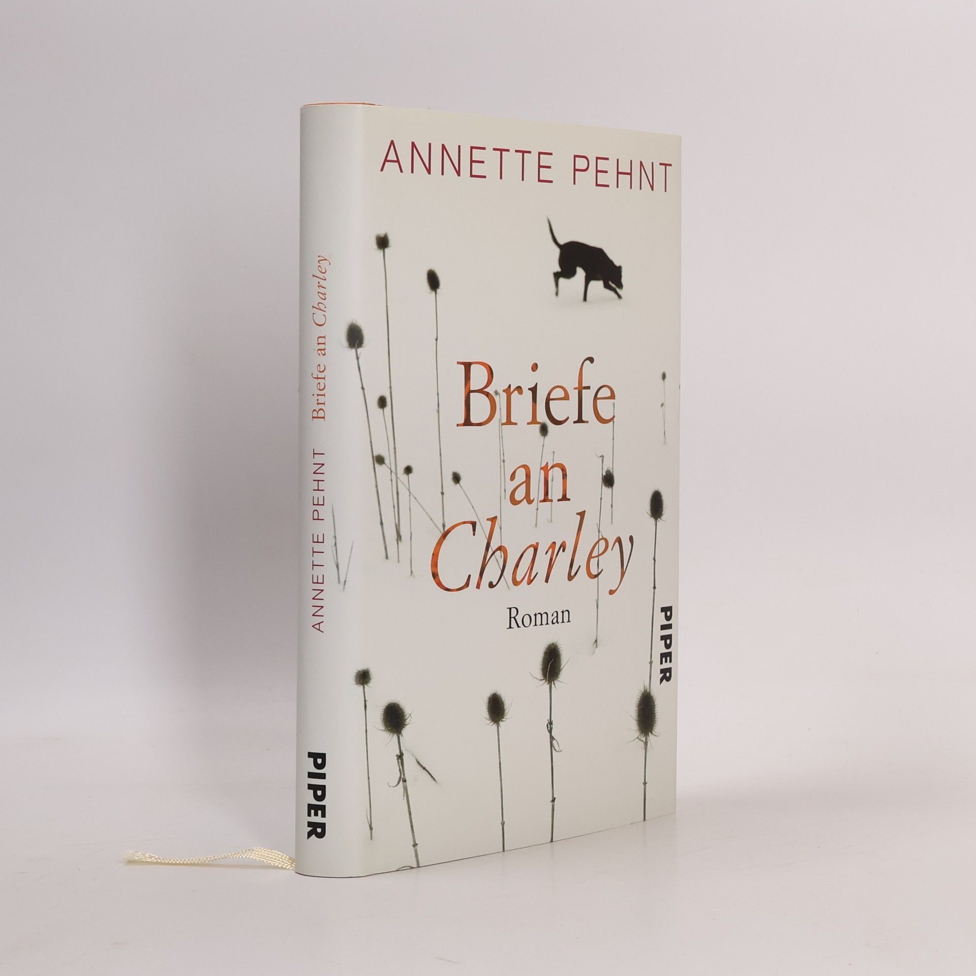 Annette Pehnt Briefe an Charley