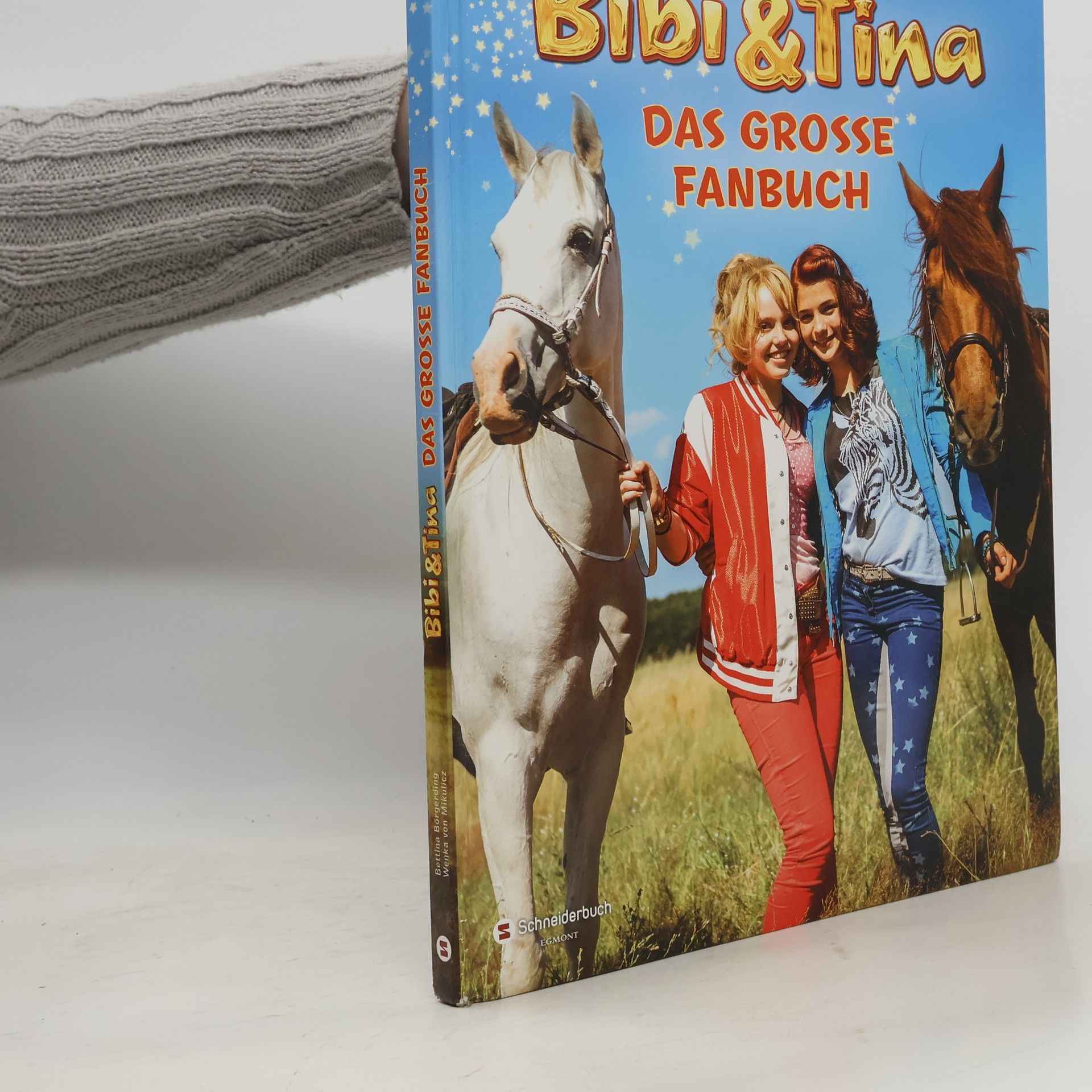 Autorenkollektiv Bibi & Tina: Das Grosse Fanbuch