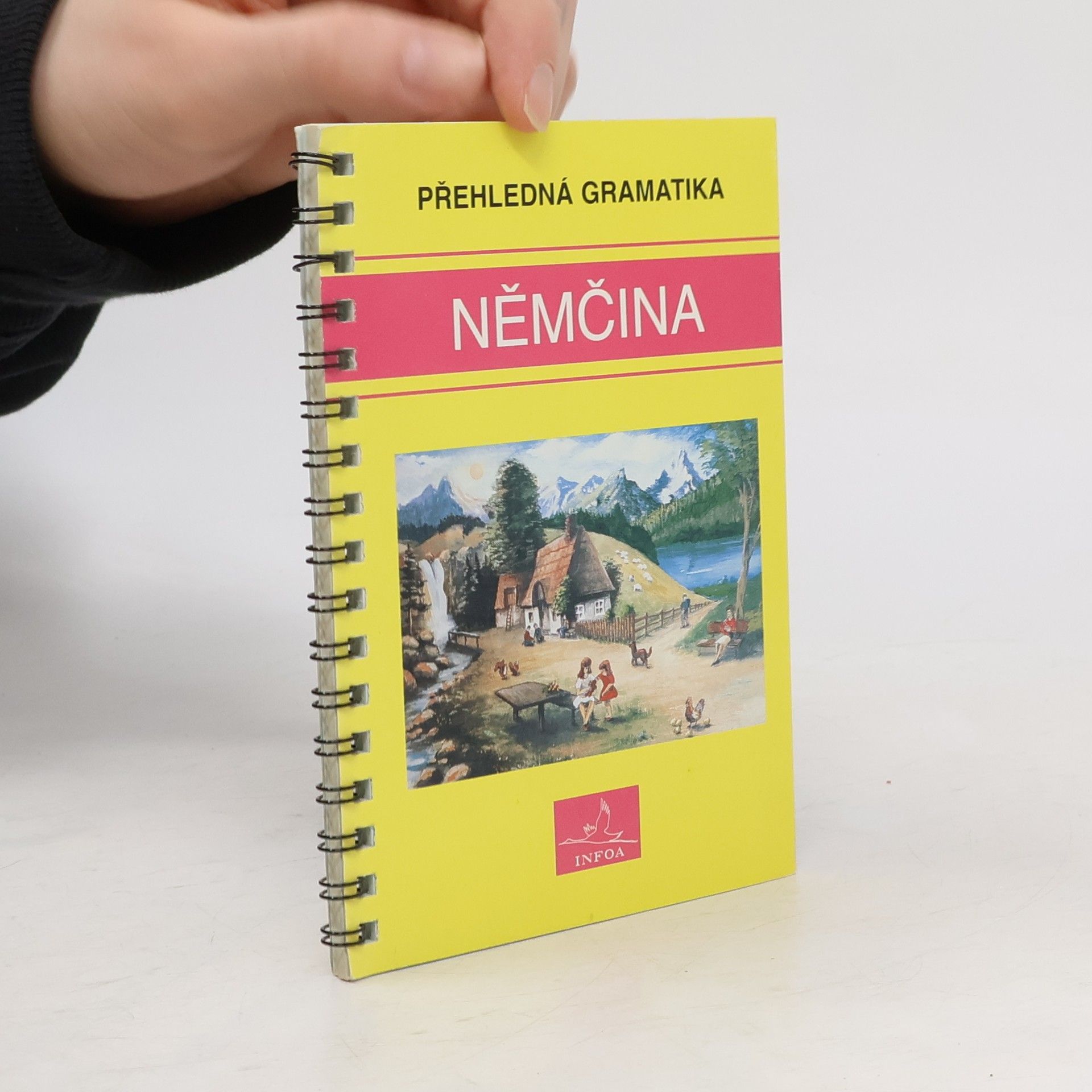 Němčina. Přehledná gramatika