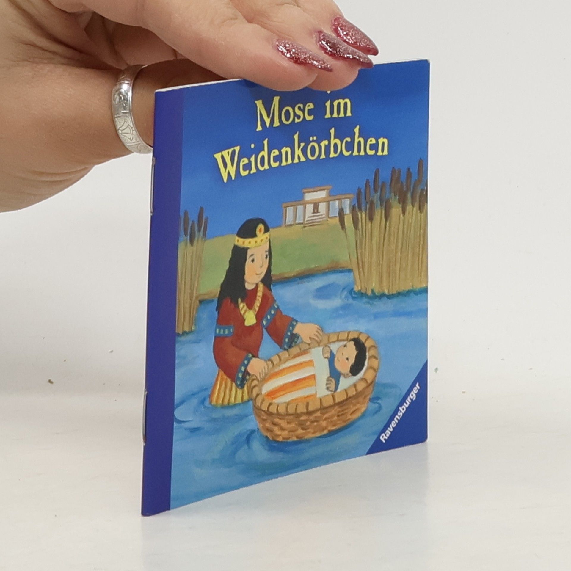 Autorenkollektiv Mose im Weidenkörbchen