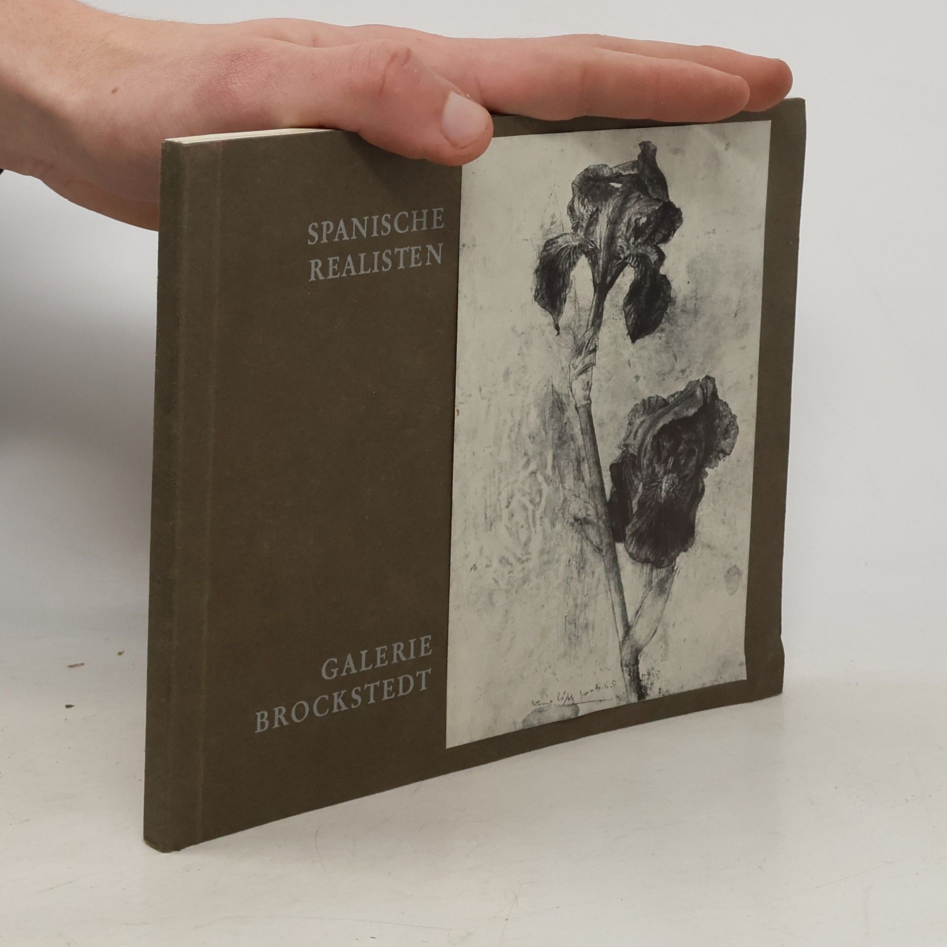 Autorenkollektiv Spanische realisten