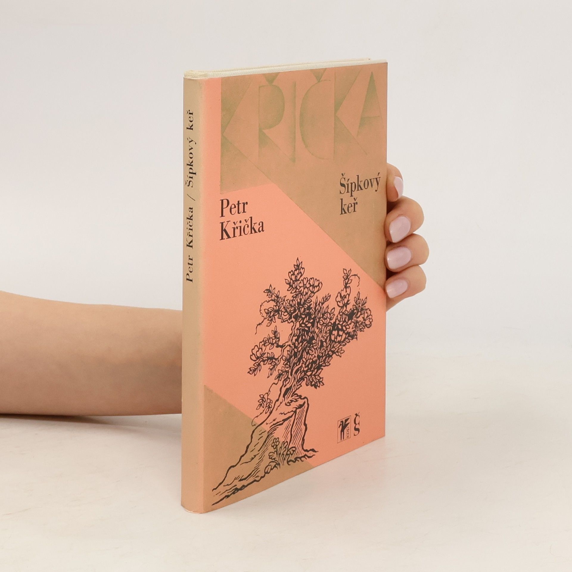 Šípkový keř. Výbor z poezie