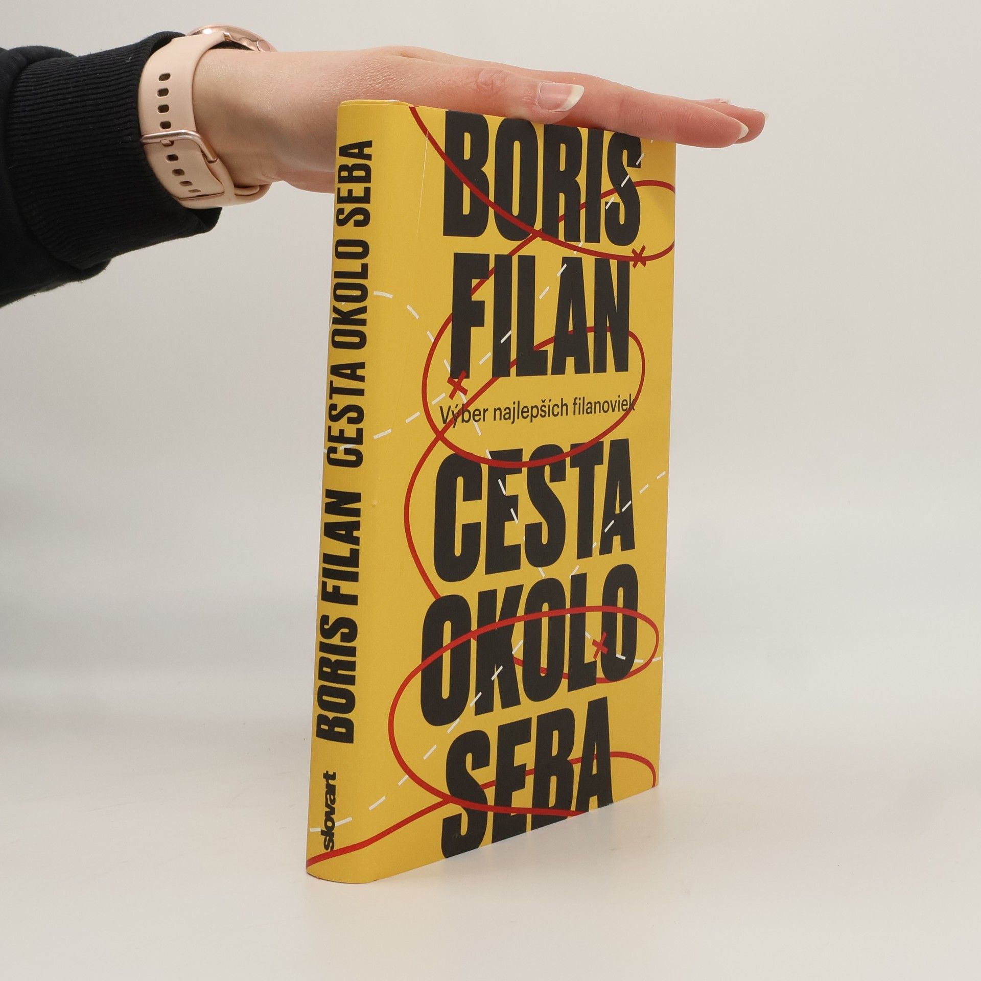 Boris Filan Cesta okolo seba