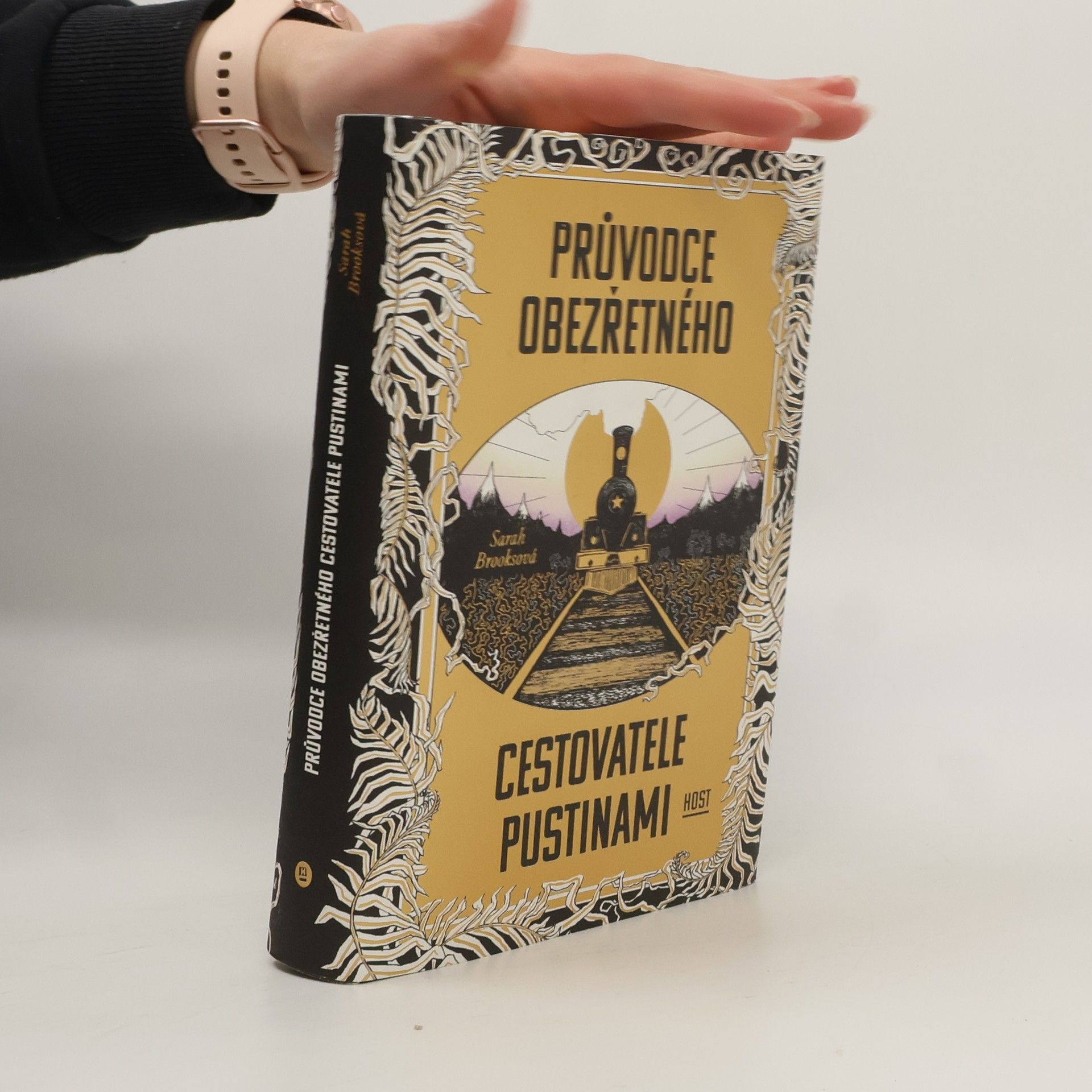 Sarah J. Brooks Průvodce obezřetného cestovatele Pustinami