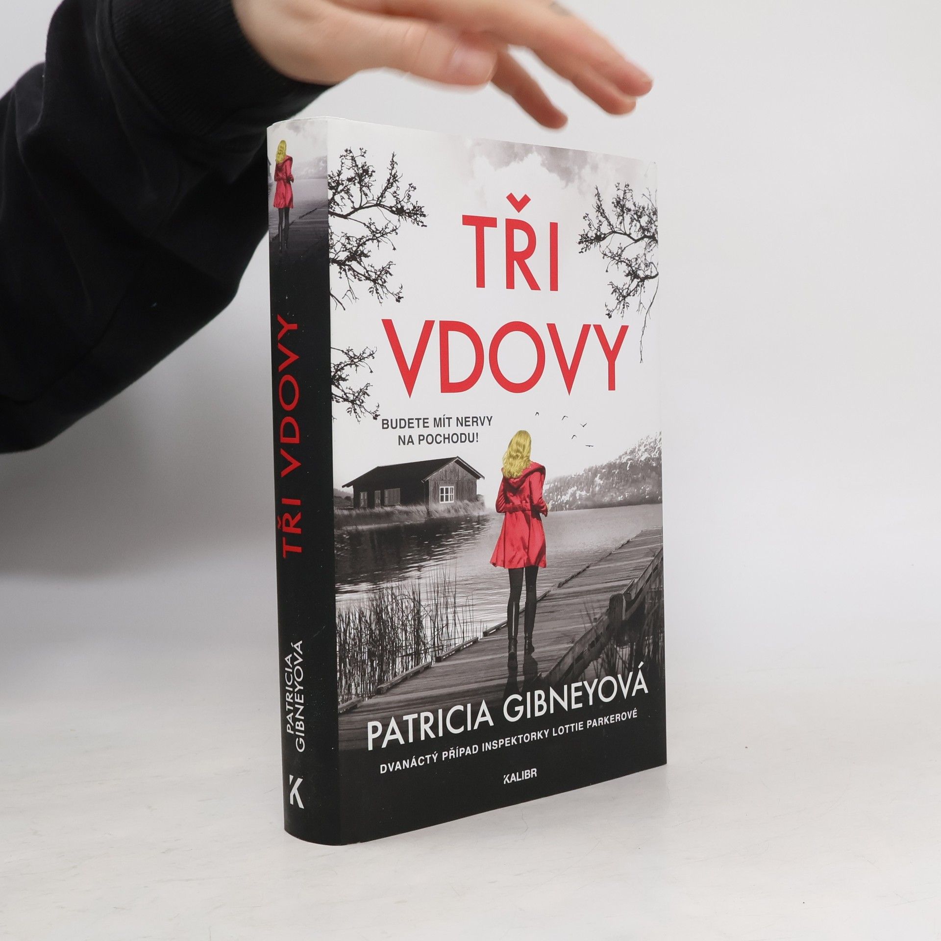 Patricia Gibney Tři vdovy