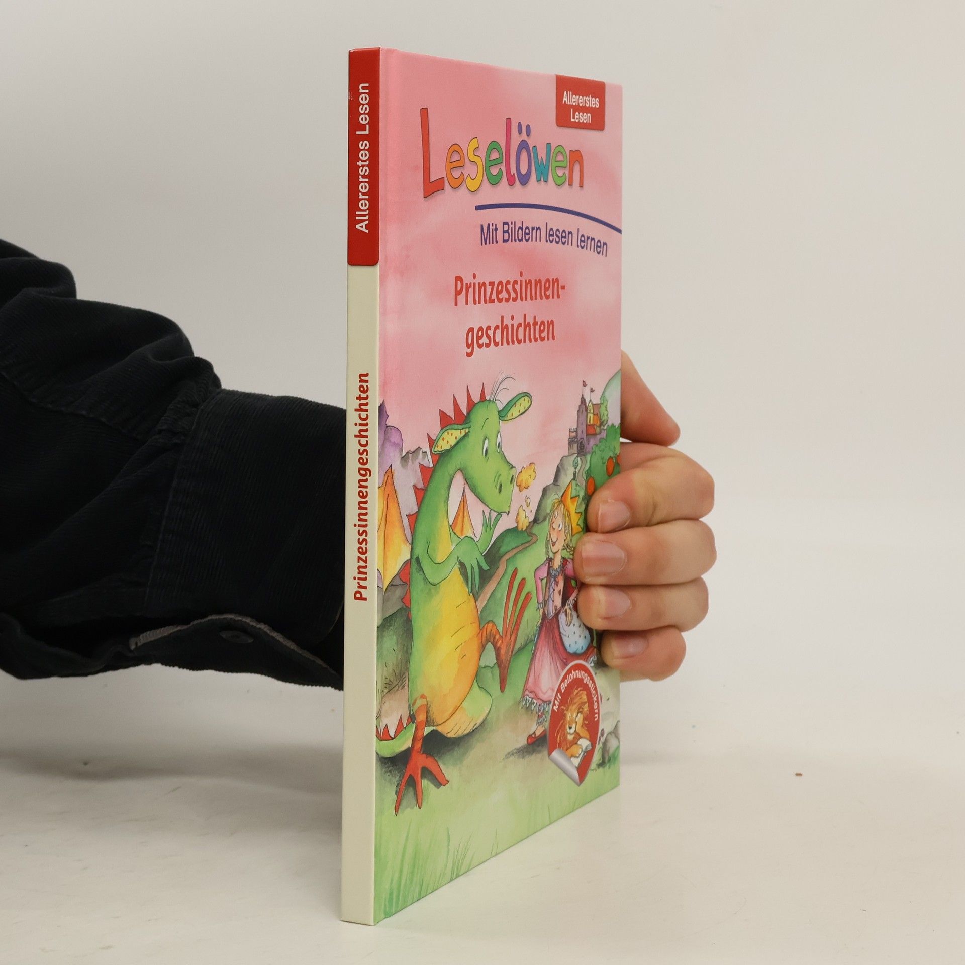 Autorenkollektiv Leselöwen: Prinzessinnengeschichten