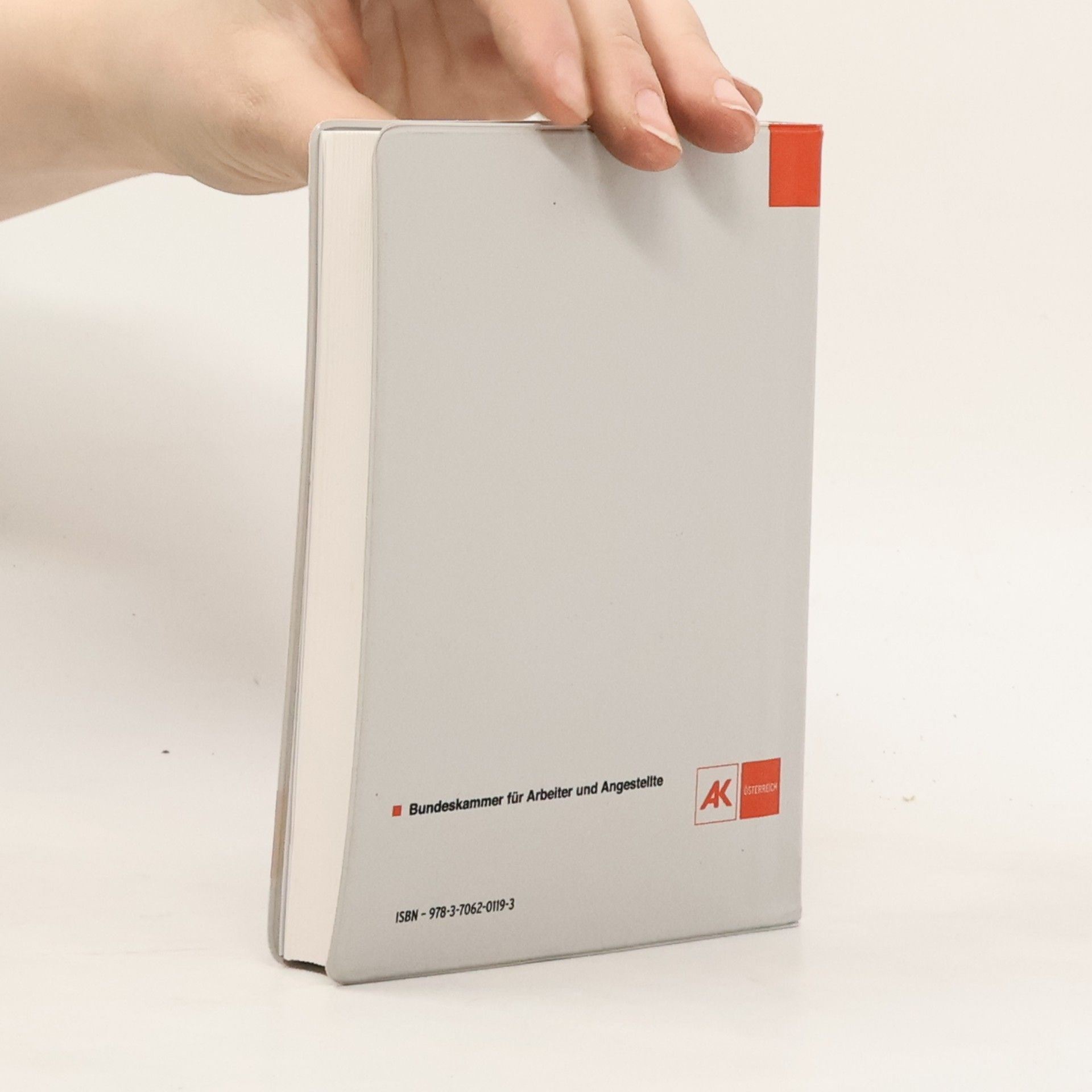 Wirtschafts- und sozialstatistisches Taschenbuch 2013