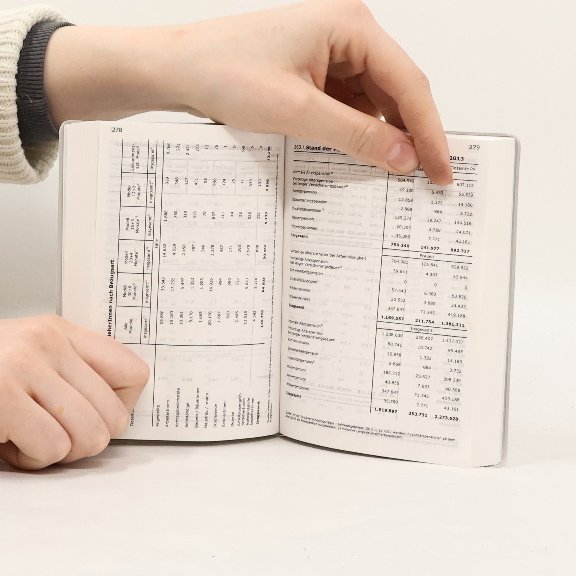 Wirtschafts- und sozialstatistisches Taschenbuch 2013