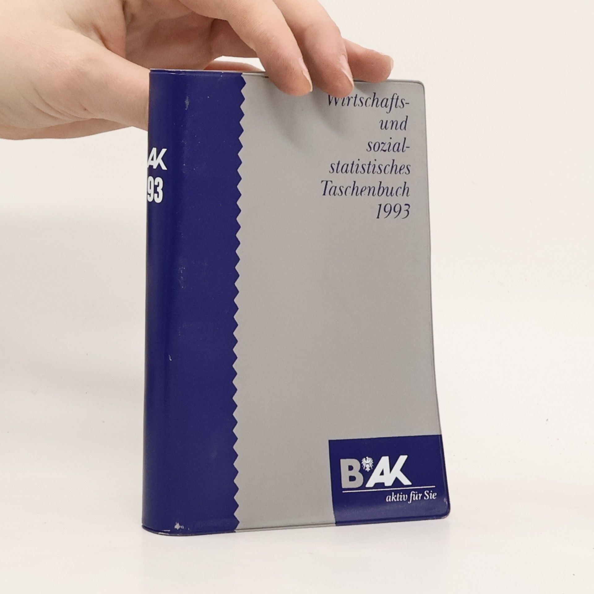 Autorenkollektiv Wirtschafts- und sozialstatistisches Taschenbuch 1993