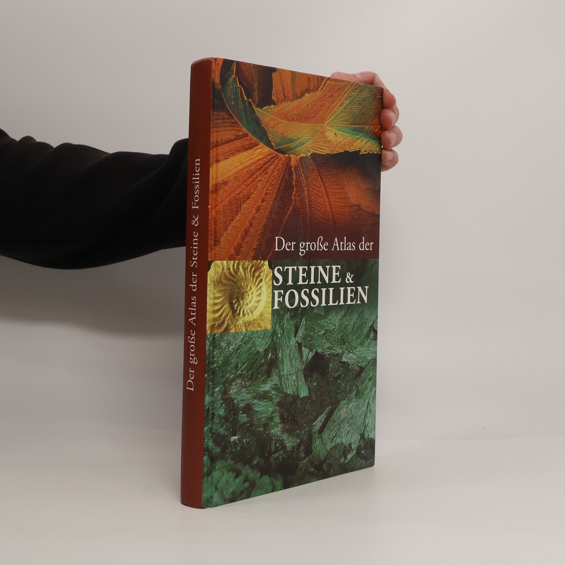 Various authors Der große Atlas der Steine & Fossilien